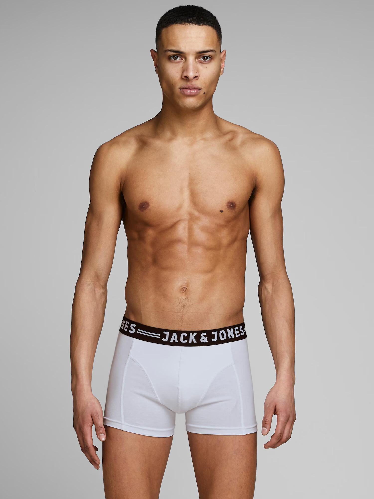 JACK & JONES Boksarice 'Sense' pegasto siva / črna / bela - Pepit.si