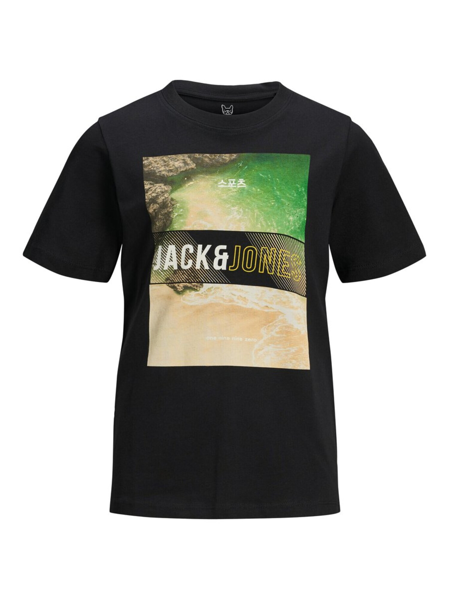 Jack & Jones Junior Majica 'Friday-Disc' črna / bela / svetlo zelena / svetlo bež / temno rjava - Pepit.si