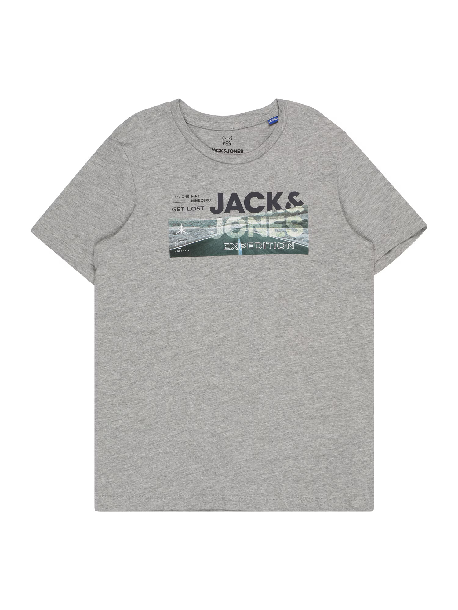 Jack & Jones Junior Majica pegasto siva / temno zelena / črna / bela - Pepit.si