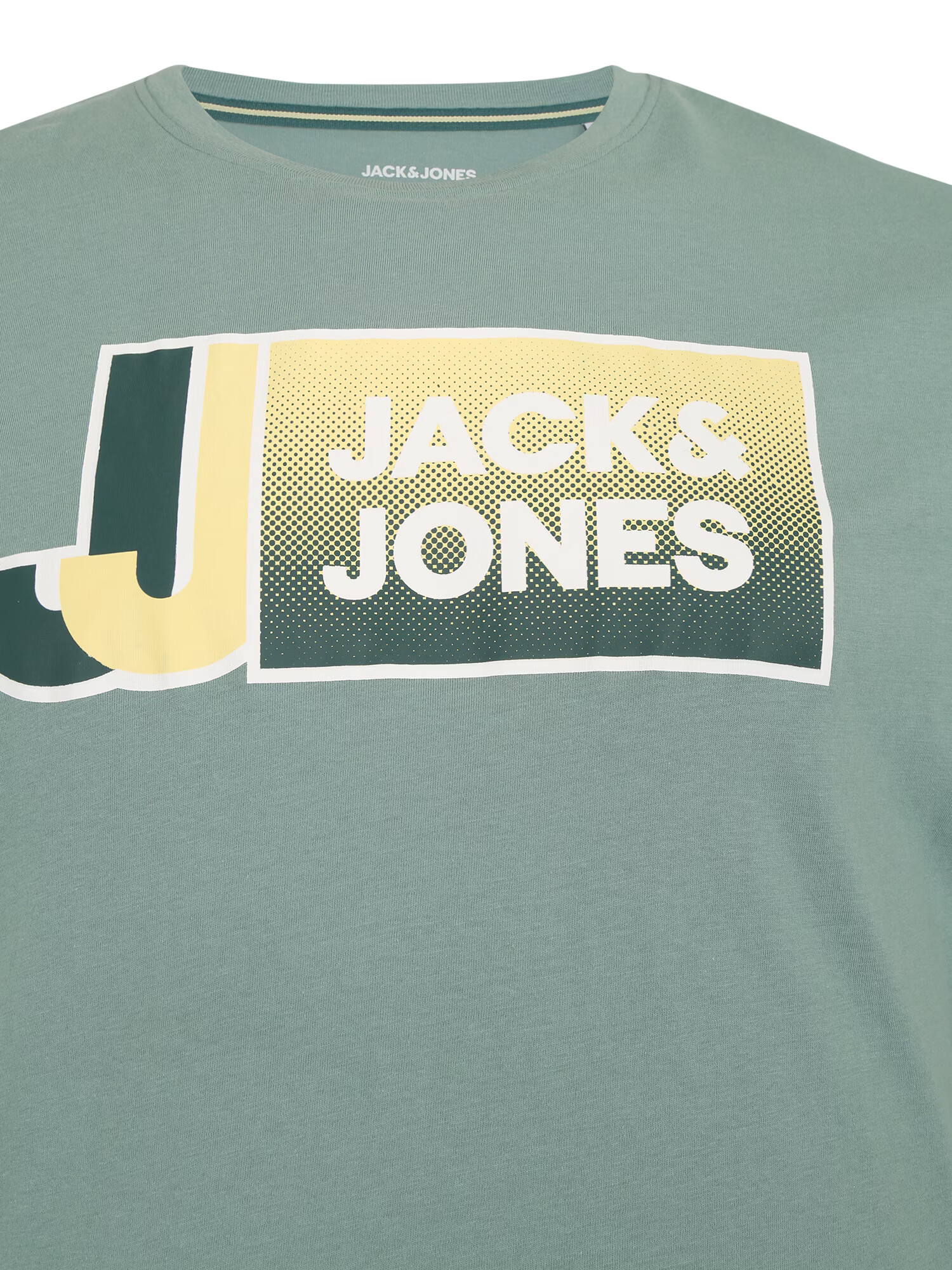 Jack & Jones Plus Majica pastelno zelena / mešane barve - Pepit.si