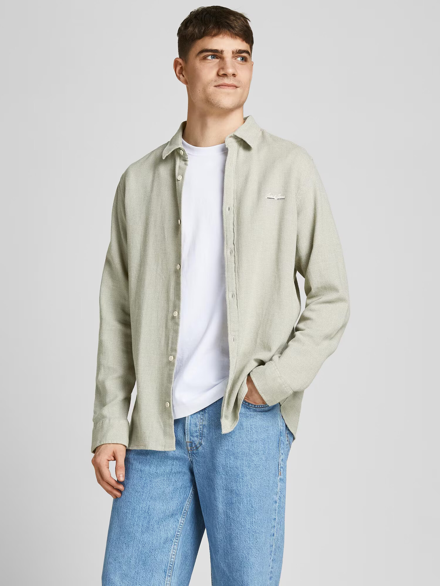 JACK & JONES Srajca 'TONS' pastelno zelena / bela - Pepit.si