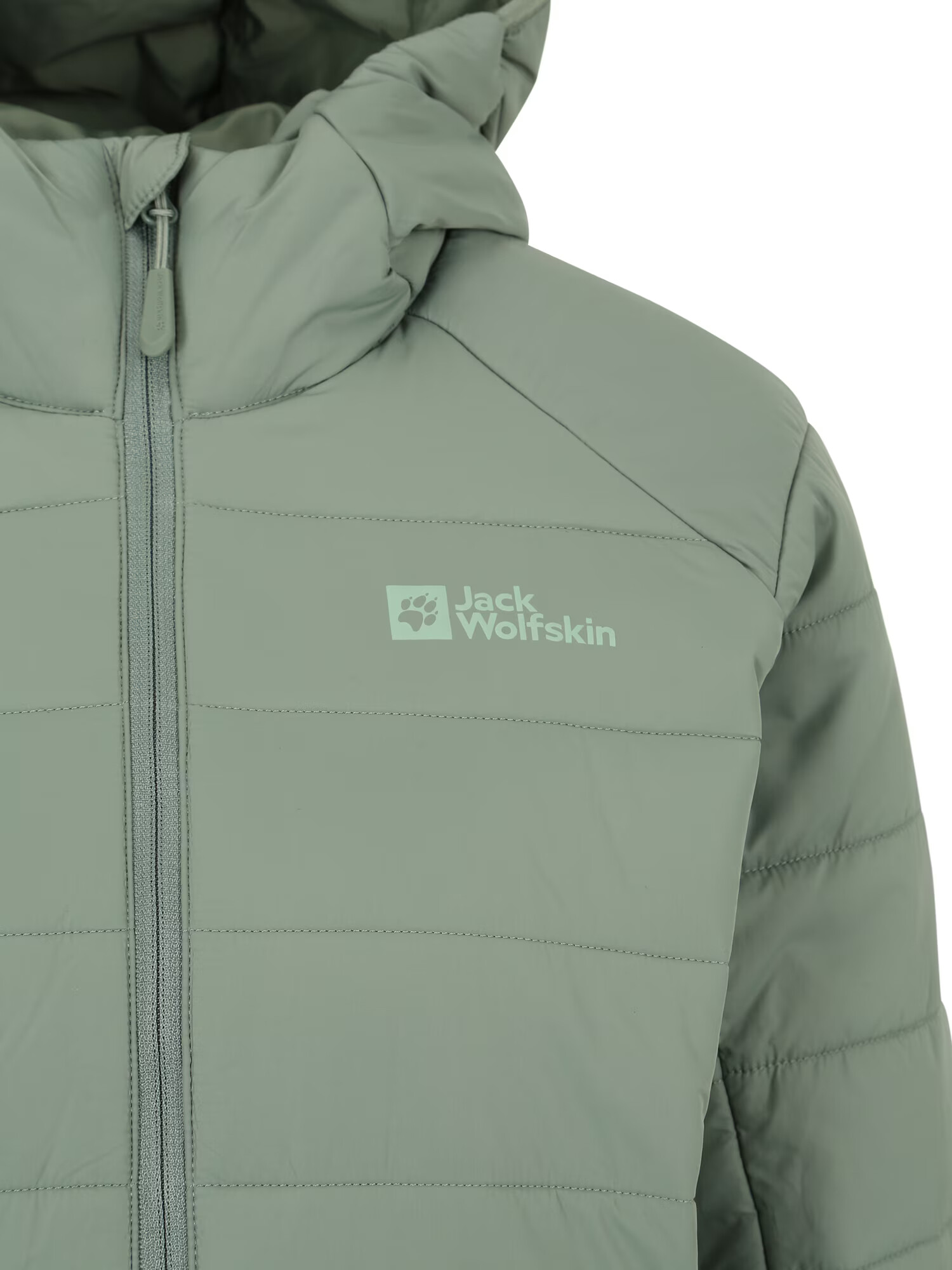 JACK WOLFSKIN Zunanji plašč 'BERGLAND' pastelno zelena - Pepit.si