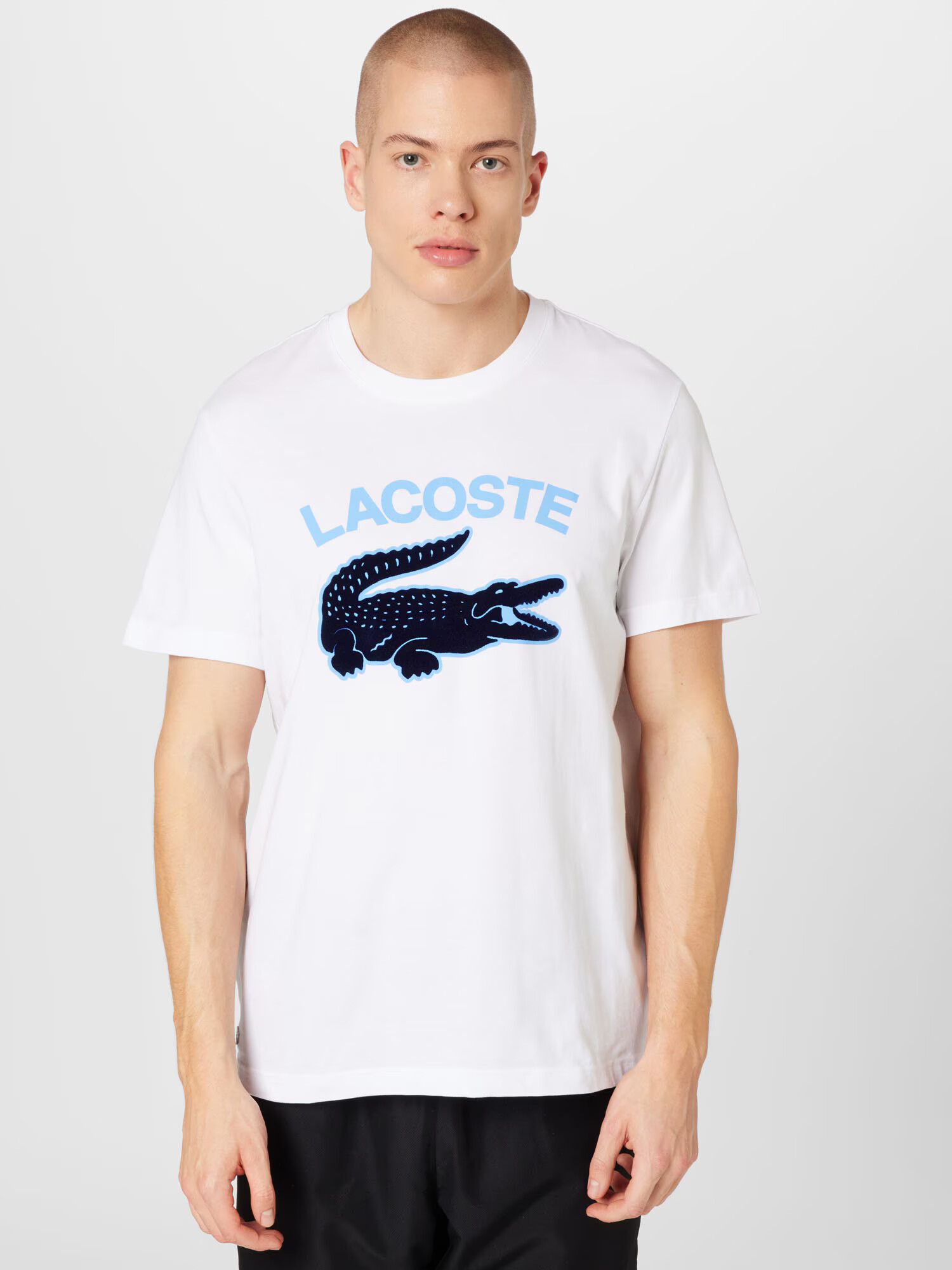 LACOSTE Majica pastelno modra / črna / bela - Pepit.si