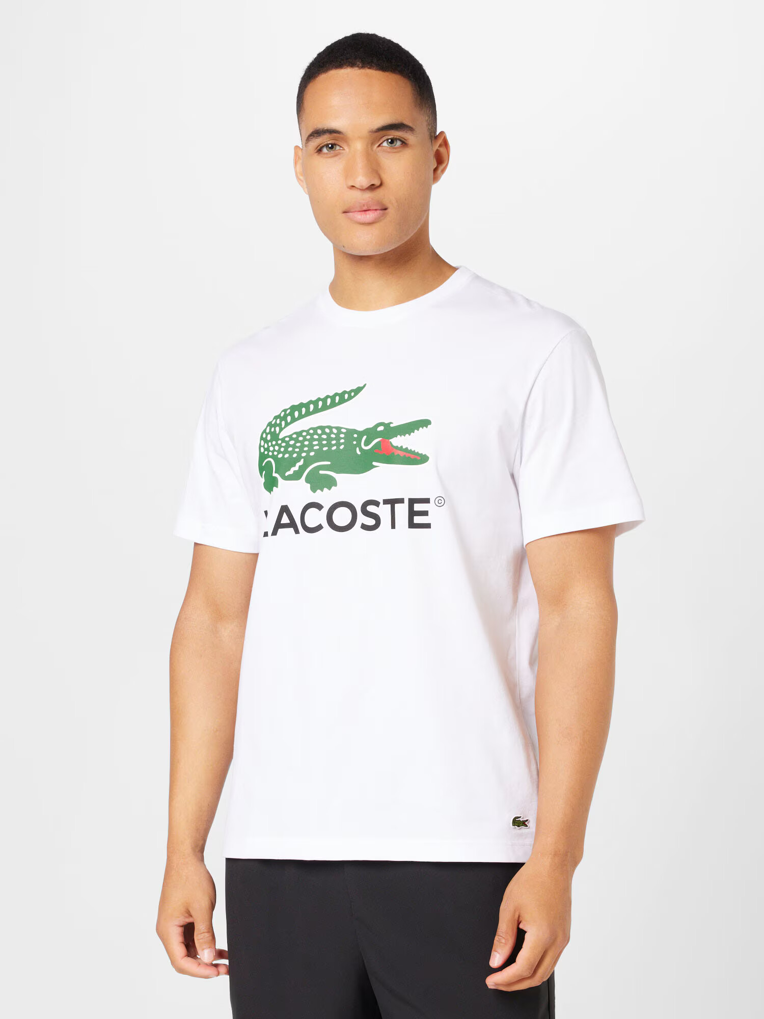 LACOSTE Majica zelena / rdeča / črna / bela - Pepit.si