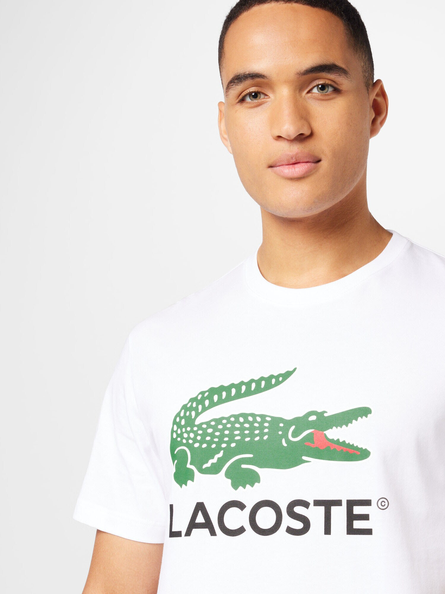 LACOSTE Majica zelena / rdeča / črna / bela - Pepit.si