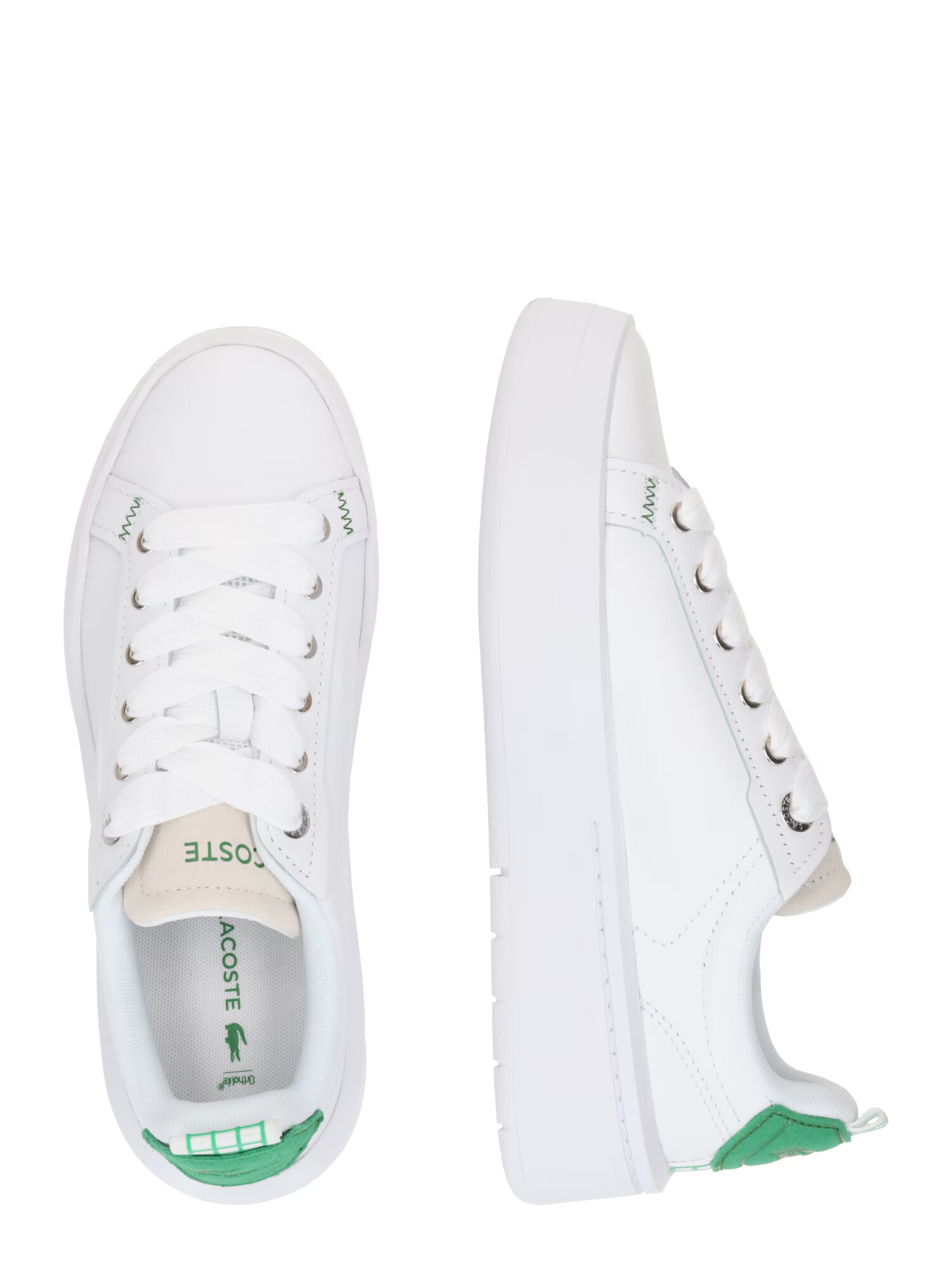 LACOSTE Nizke superge 'CARNABY' zelena / bela - Pepit.si