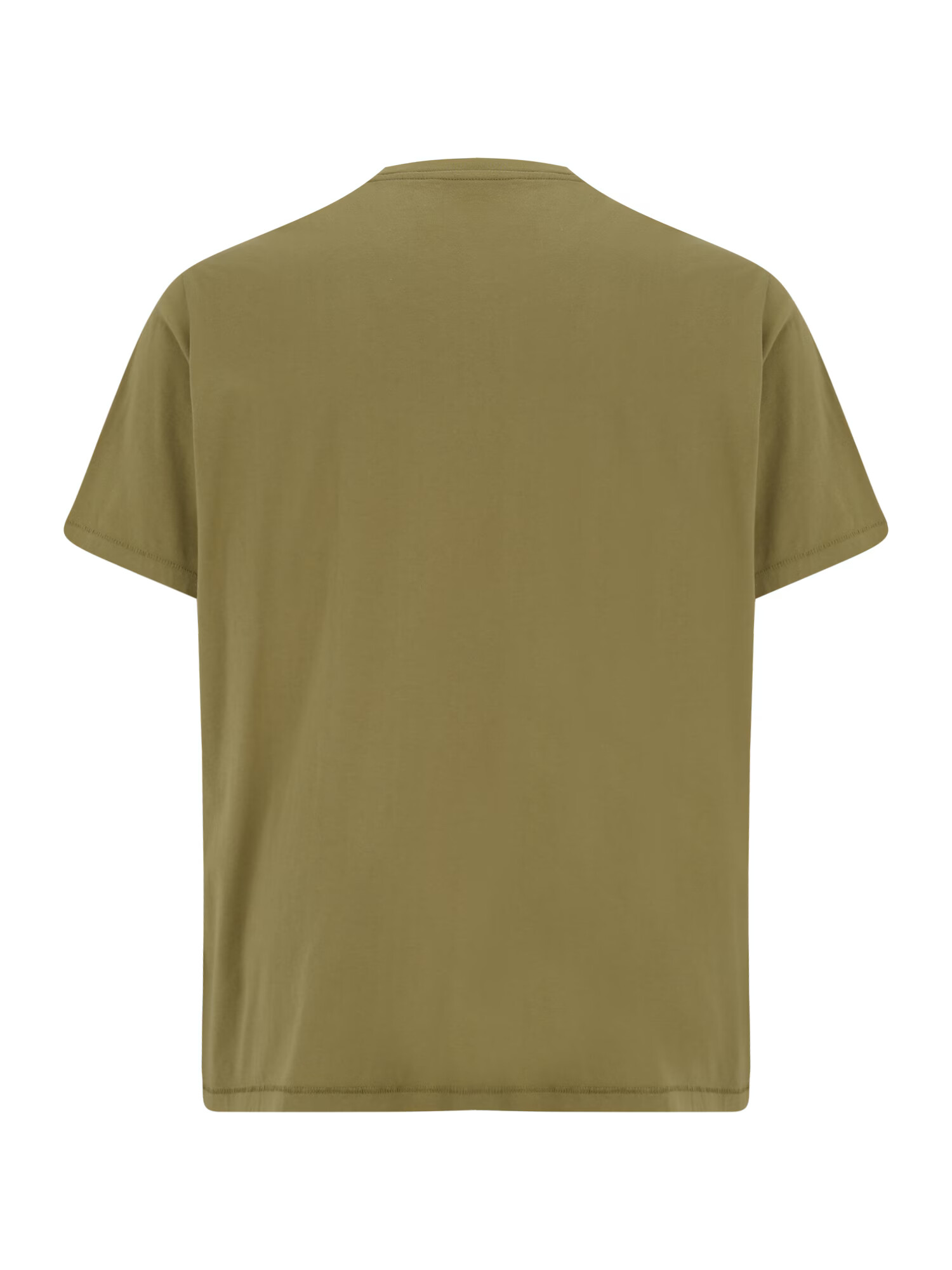 Levi's® Big & Tall Majica 'BIG SS RELAXED FIT TEE GREENS' oliva / bela - Pepit.si