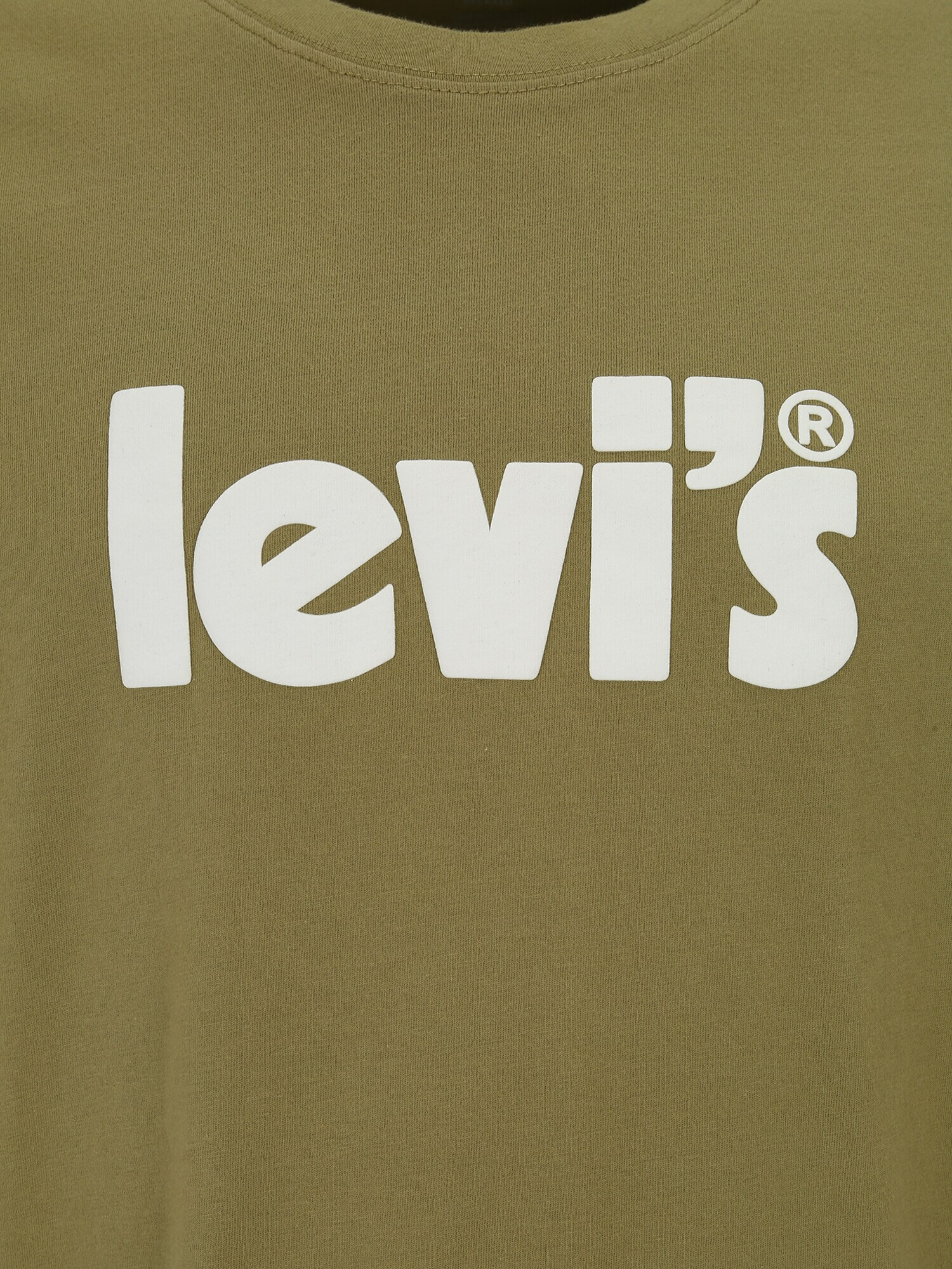 Levi's® Big & Tall Majica 'BIG SS RELAXED FIT TEE GREENS' oliva / bela - Pepit.si