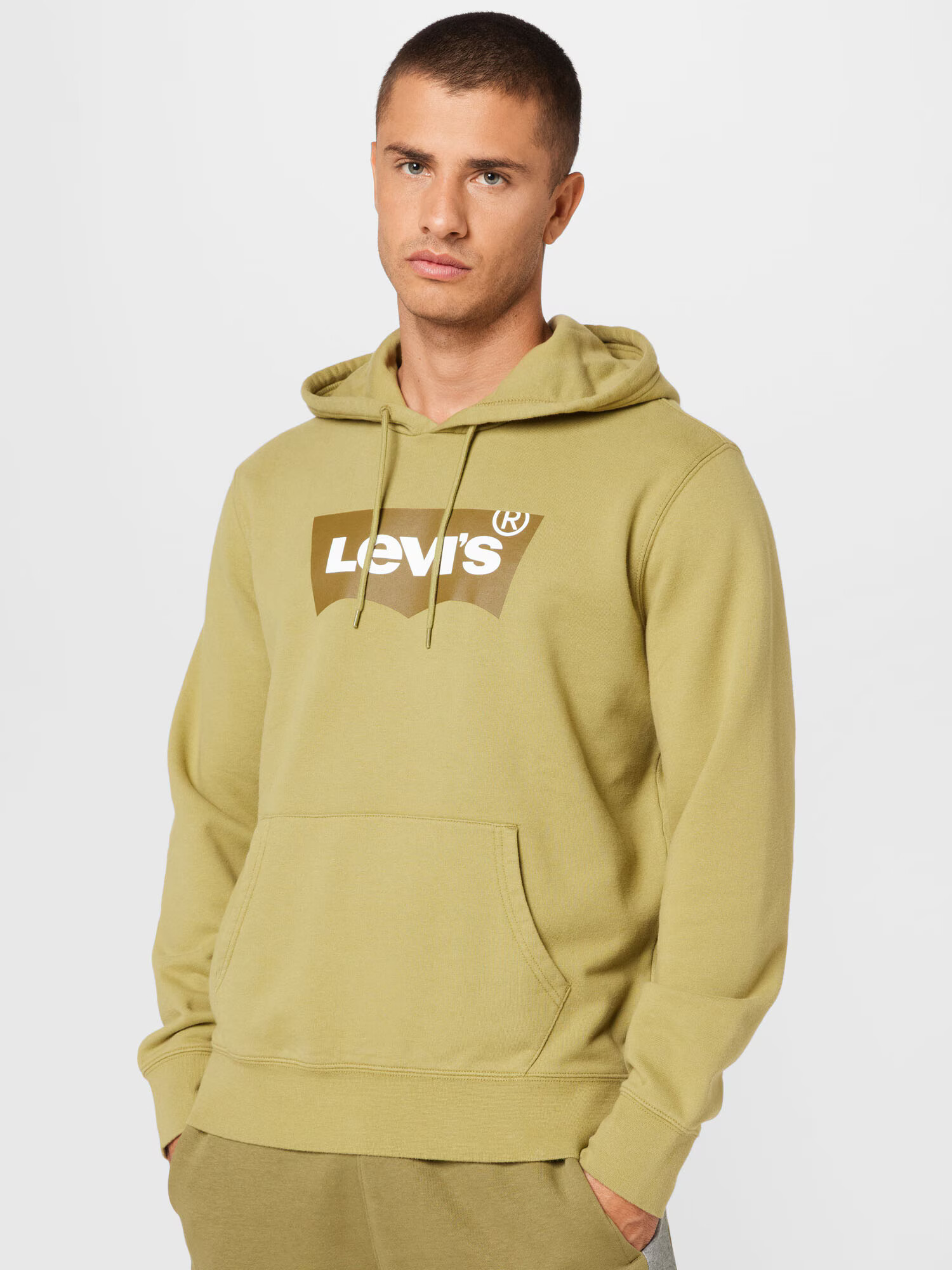 LEVI'S Majica 'STANDARD GRAPHIC HOODIE NEUTRALS' oliva / trst / bela - Pepit.si