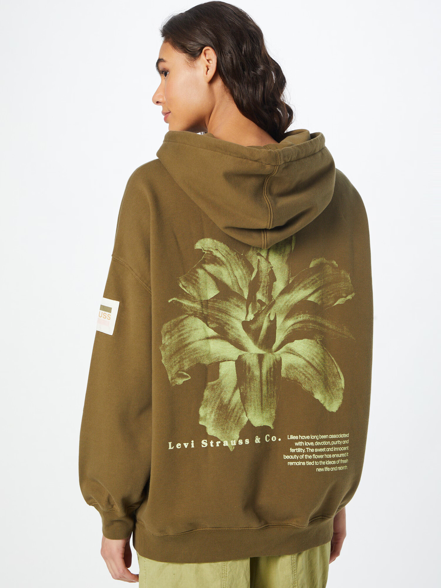 LEVI'S Majica 'GRAPHIC ORON HOODIE GREENS' oliva / svetlo zelena - Pepit.si