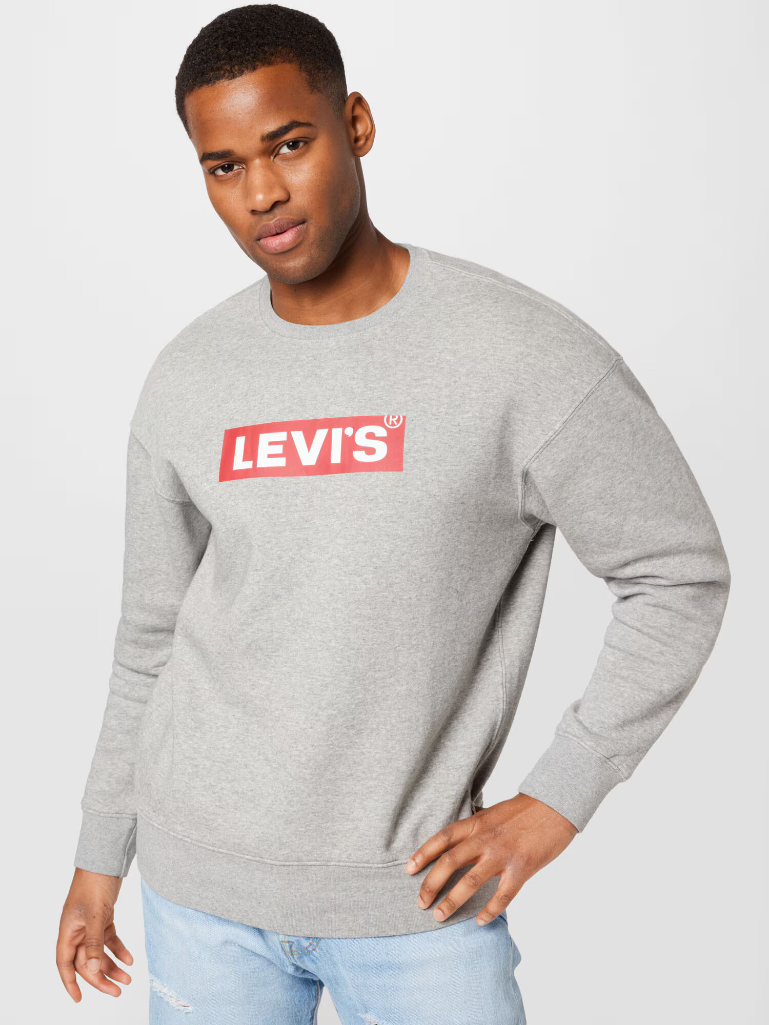 LEVI'S Majica 'T3 RELAXED GRAPHIC CREW MULTI-COLOR' pegasto siva / grenada / bela - Pepit.si