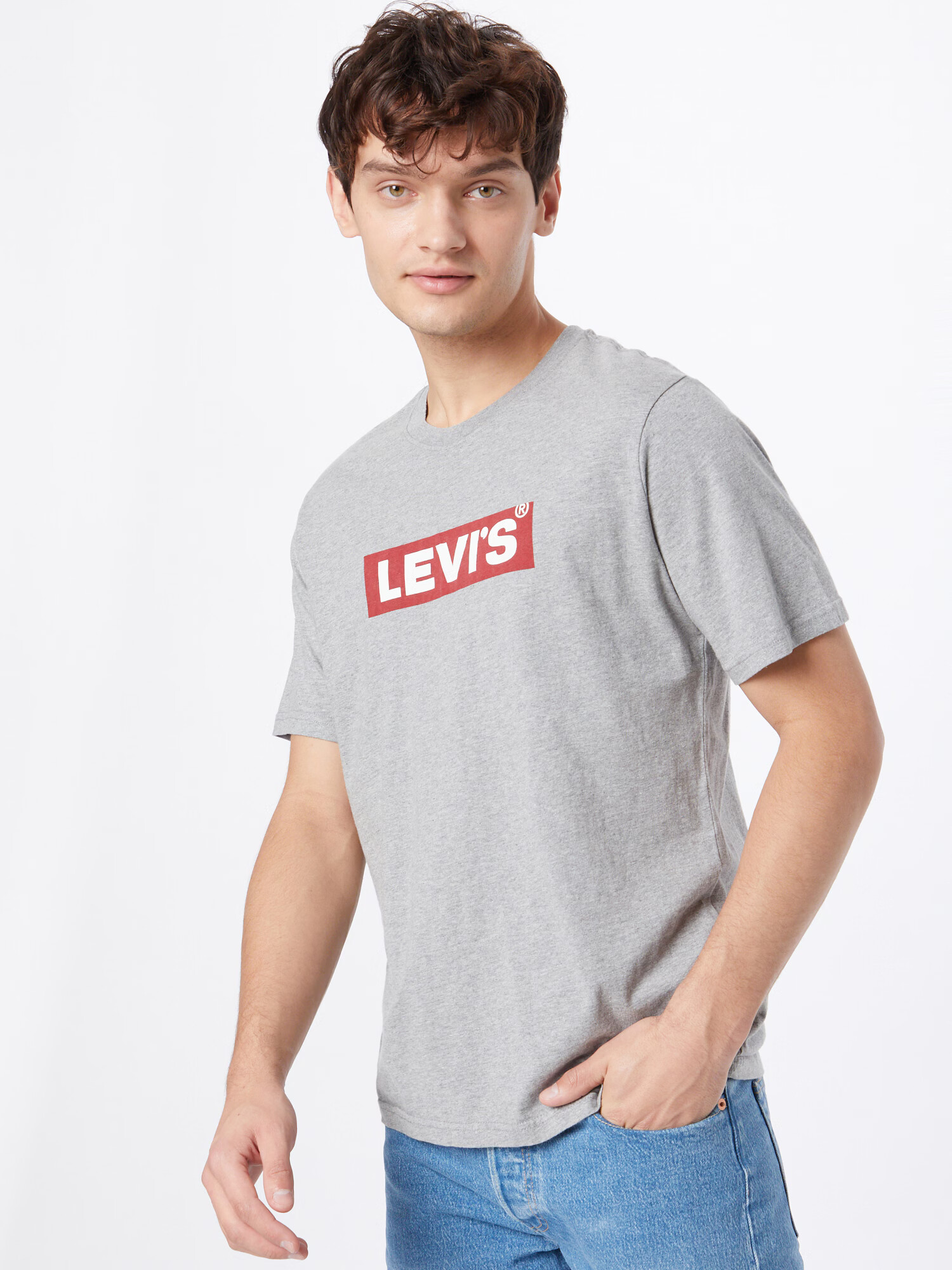 LEVI'S Majica 'SS RELAXED FIT TEE GREYS' svetlo siva / rdeča / bela - Pepit.si