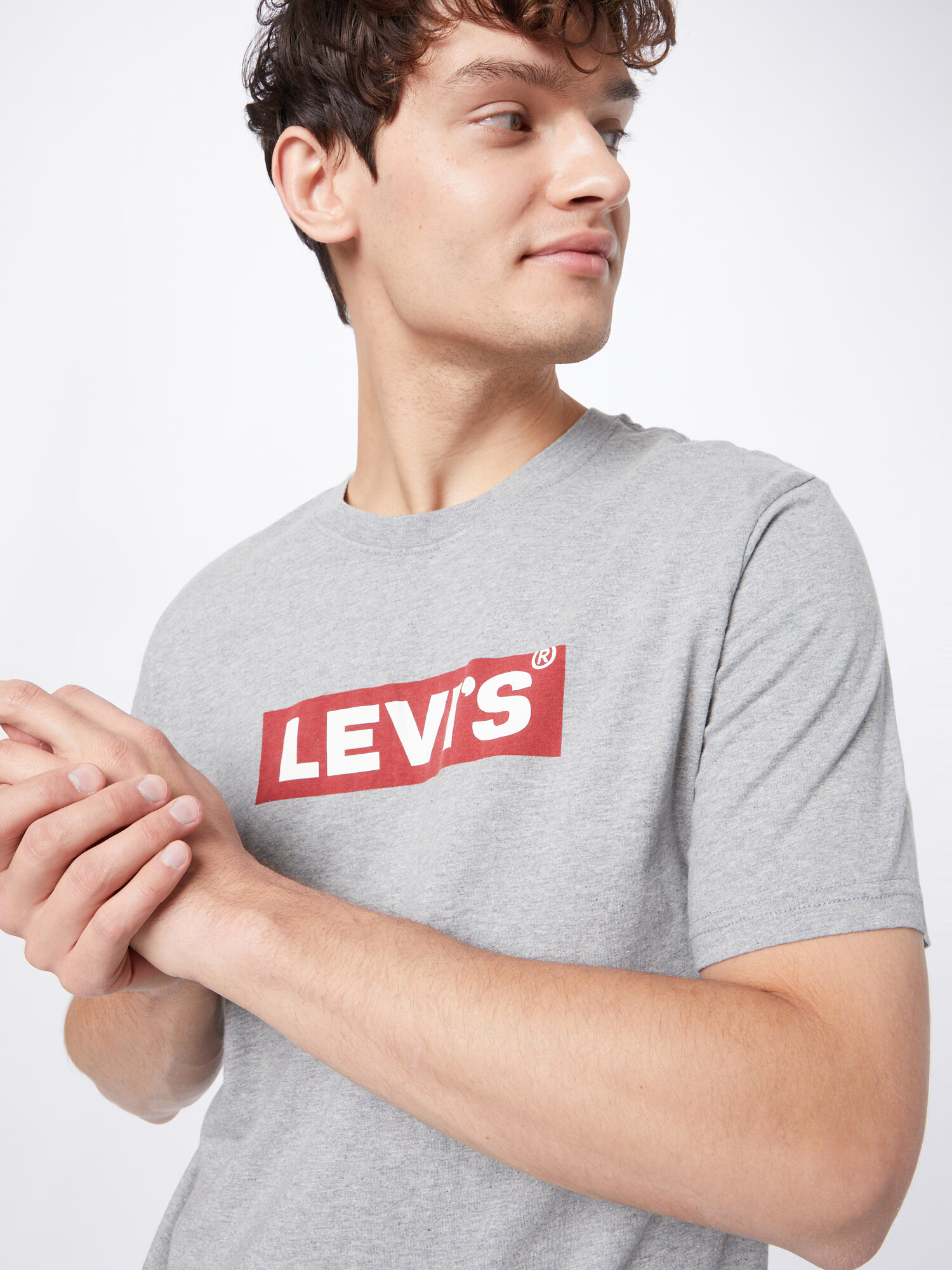 LEVI'S Majica 'SS RELAXED FIT TEE GREYS' svetlo siva / rdeča / bela - Pepit.si