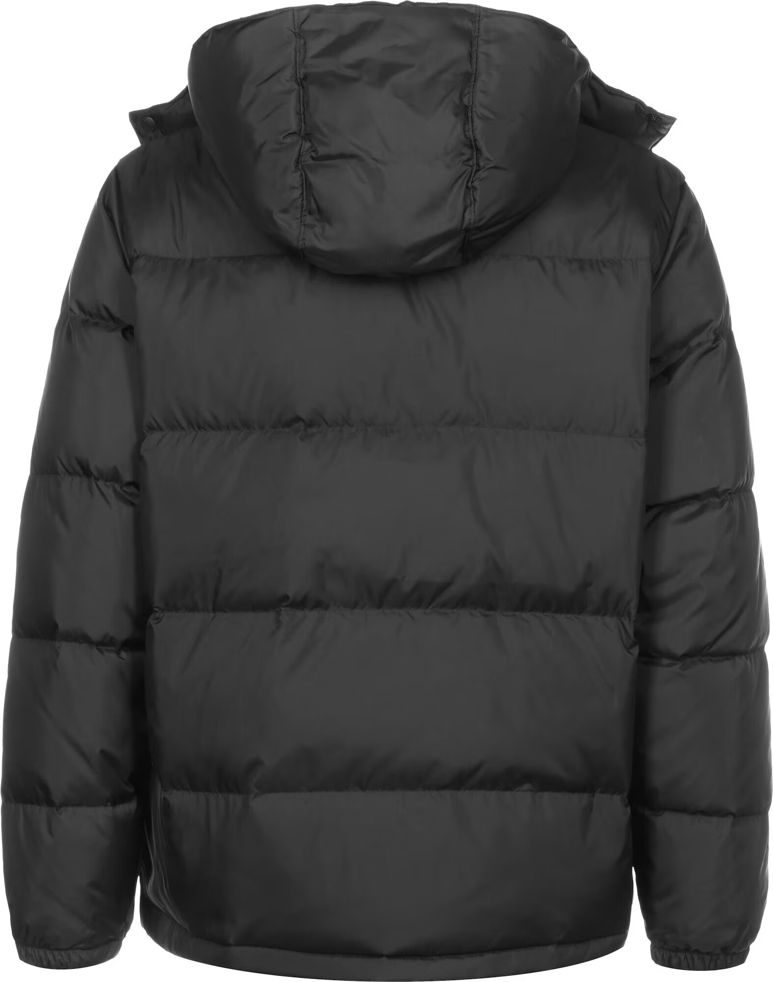 LEVI'S Zimska jakna 'HOODED FILLMORE SHRT JKT BLACKS' črna - Pepit.si