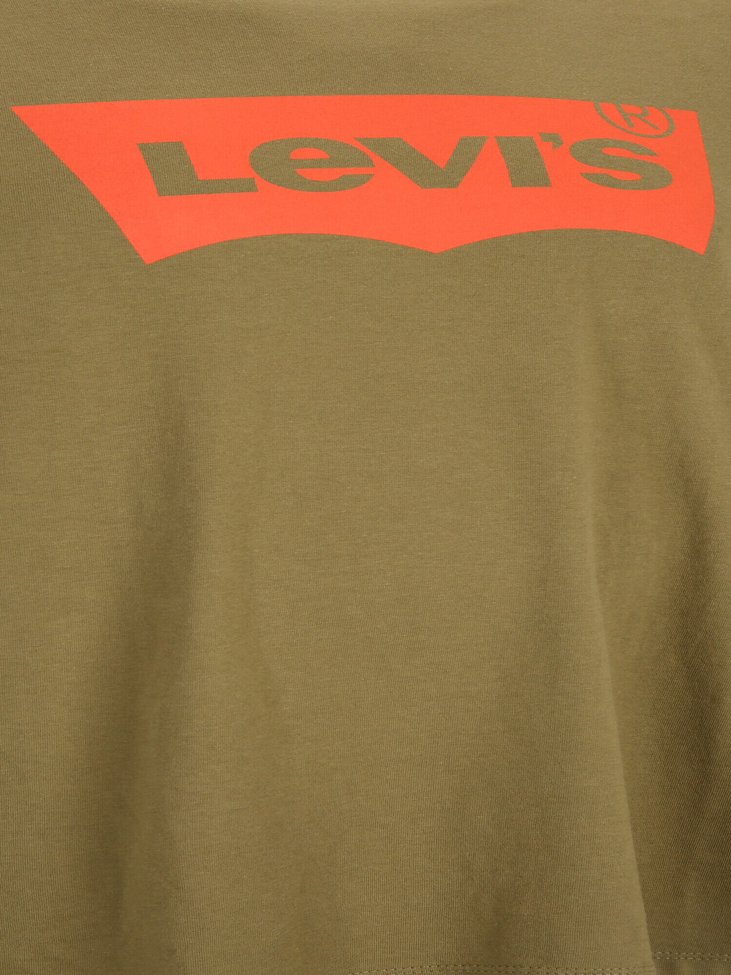 Levi's® Big & Tall Majica 'B&T BIG GRAPHIC TEE GREENS' oliva / temno oranžna - Pepit.si