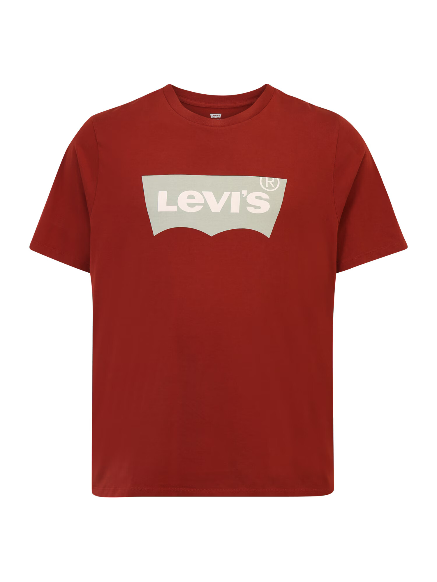 Levi's® Big & Tall Majica svetlo siva / rjasto rdeča / bela - Pepit.si