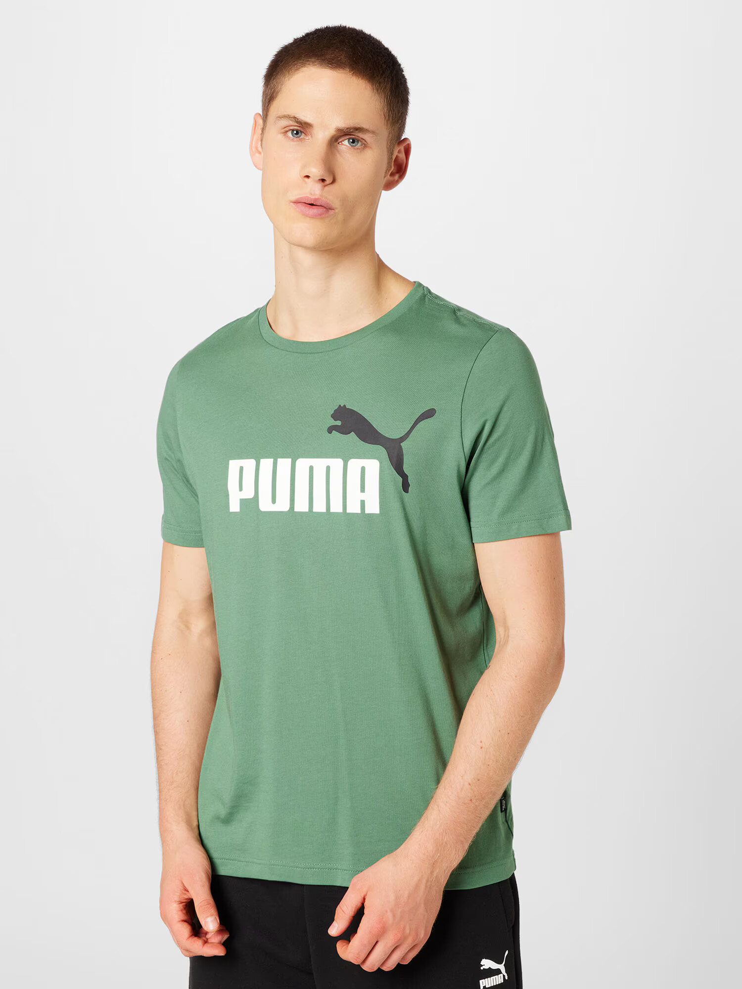 PUMA Funkcionalna majica zelena / črna / bela - Pepit.si