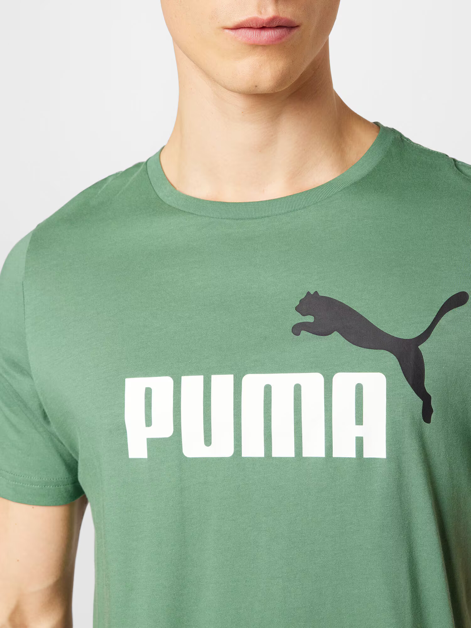 PUMA Funkcionalna majica zelena / črna / bela - Pepit.si