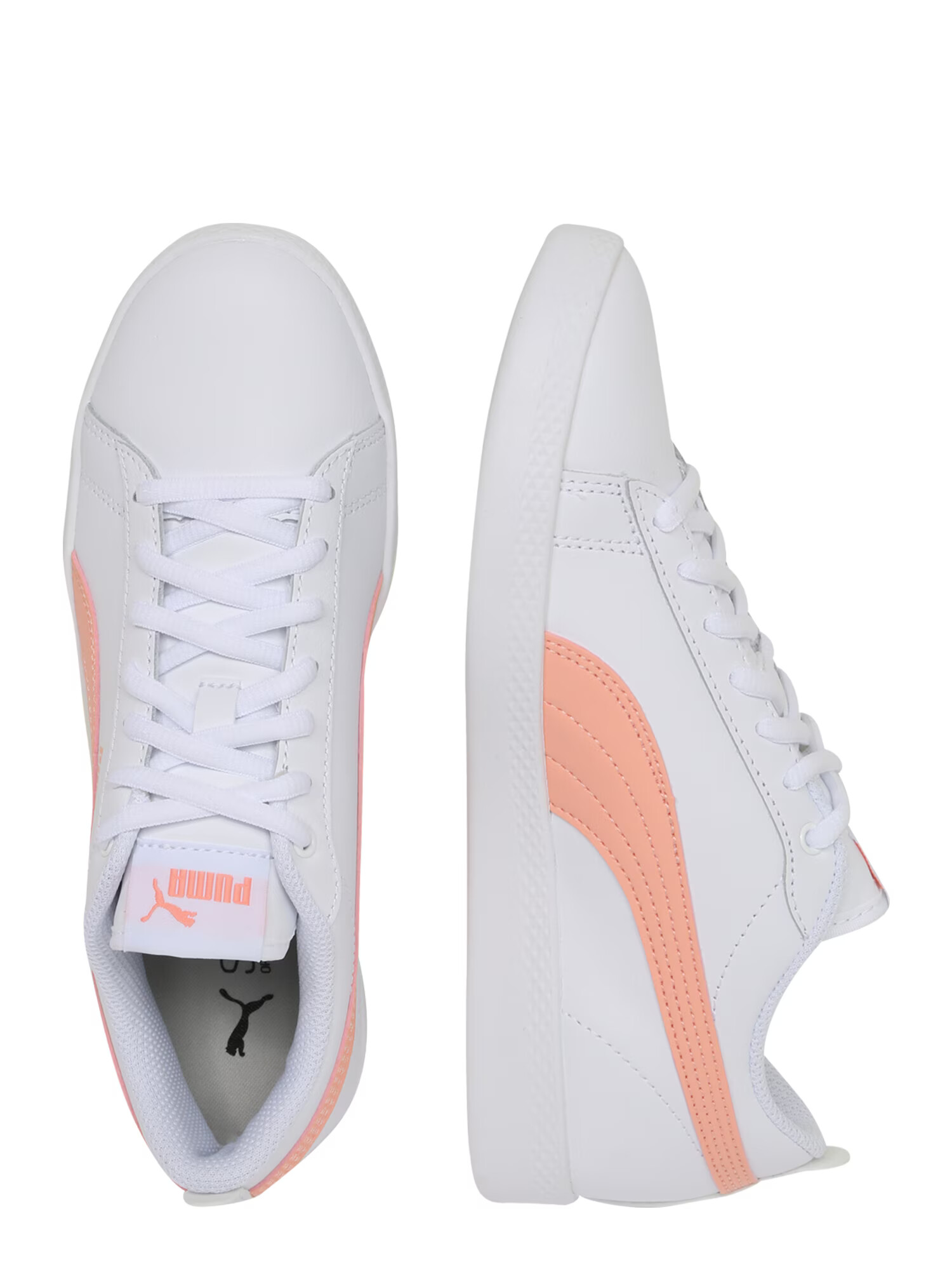 PUMA Nizke superge 'Smash Wns v2 L' marelica / bela - Pepit.si