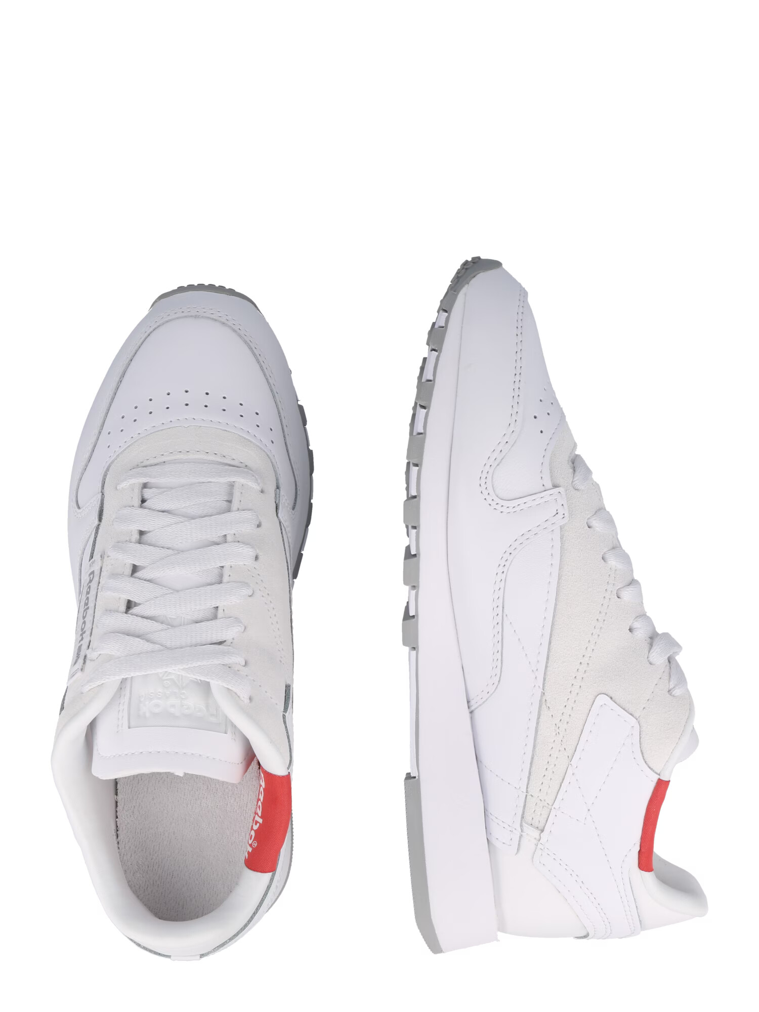 Reebok Classics Nizke superge bela - Pepit.si