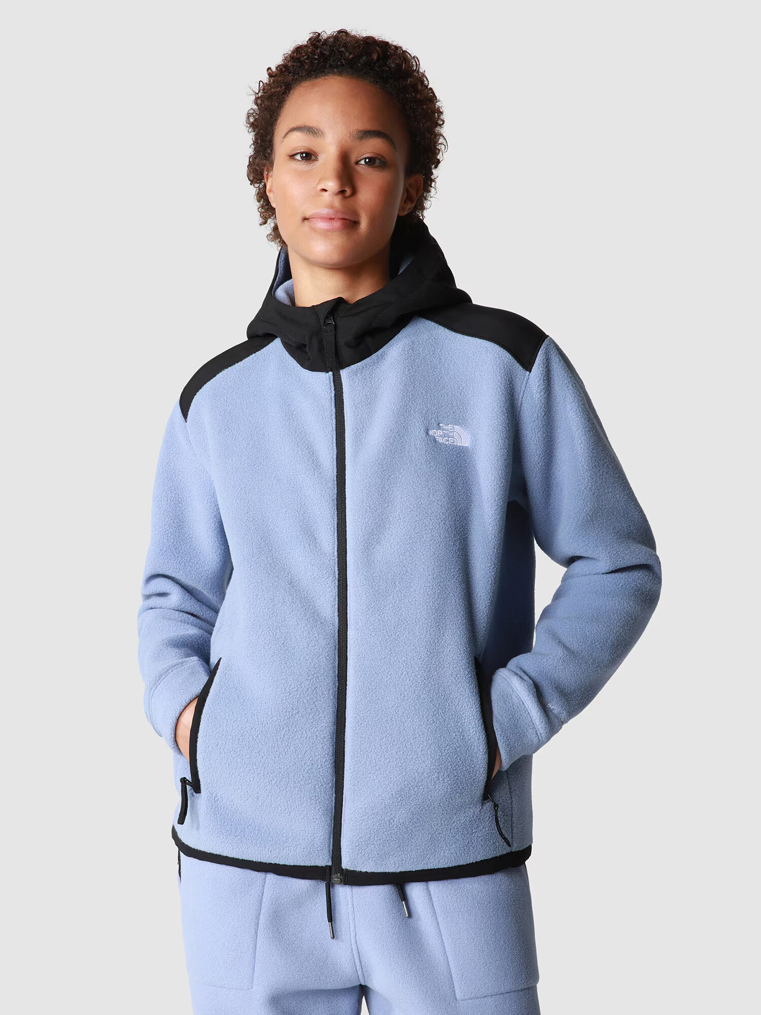 THE NORTH FACE Funkcionalna jopa iz flisa 'ALPINE' pastelno modra / črna - Pepit.si