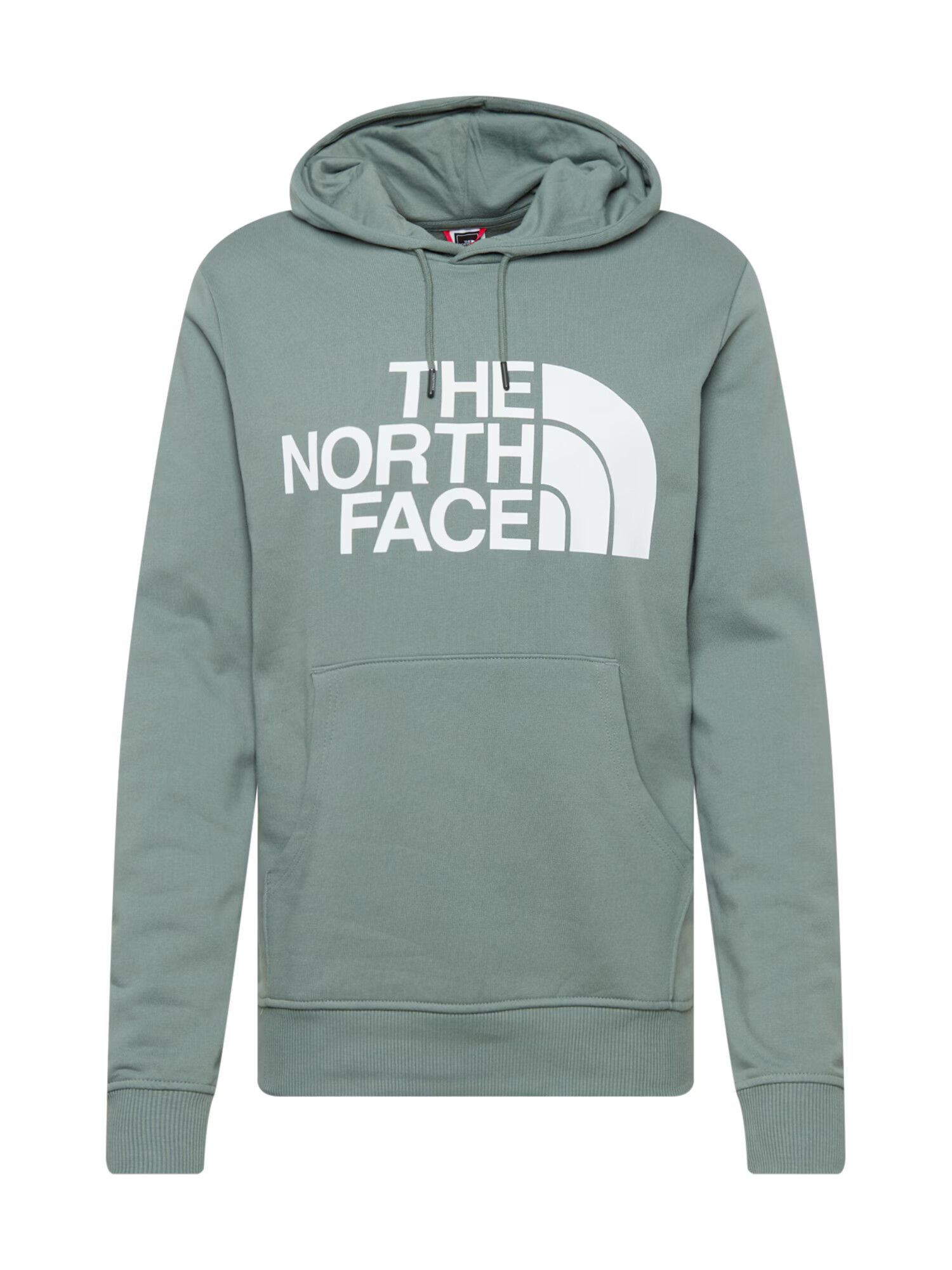 THE NORTH FACE Majica bela / pastelno zelena - Pepit.si