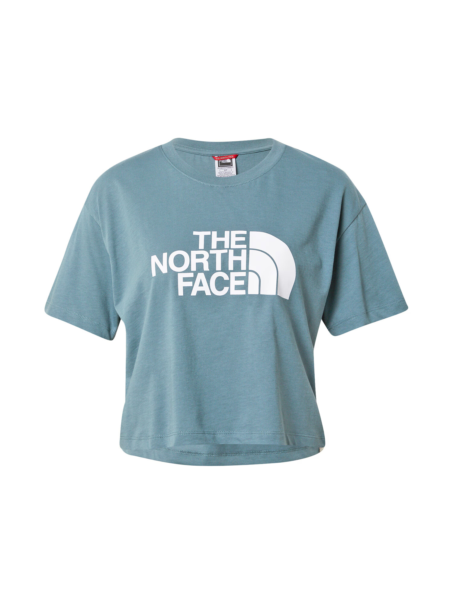 THE NORTH FACE Majica dimno modra / bela - Pepit.si