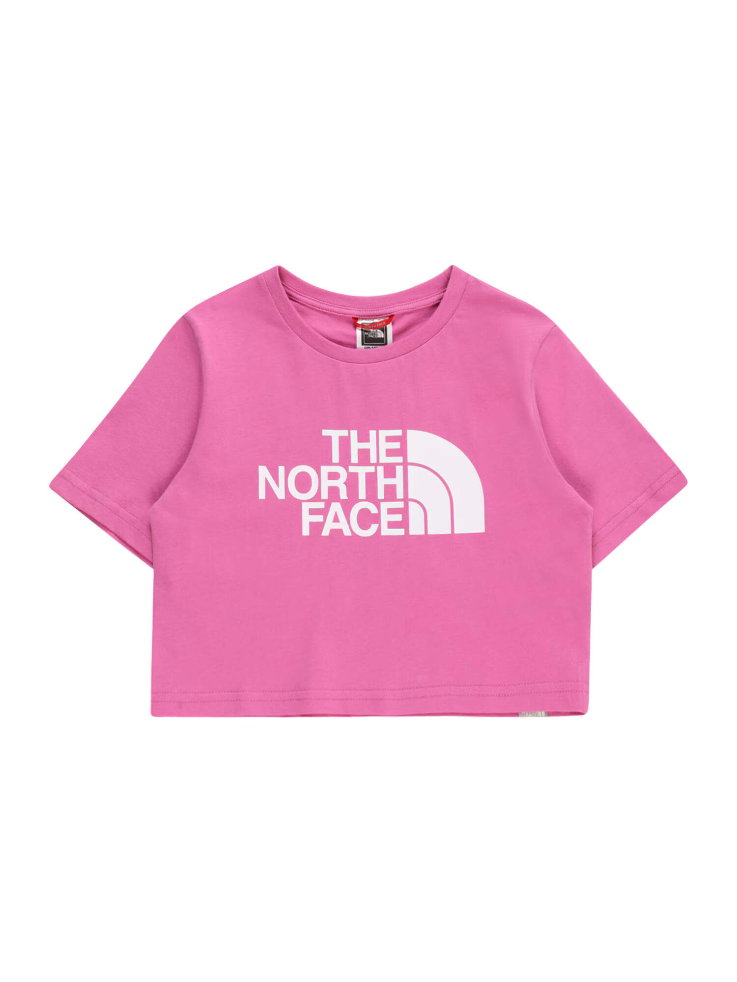 THE NORTH FACE Funkcionalna majica 'Easy' roza / bela - Pepit.si