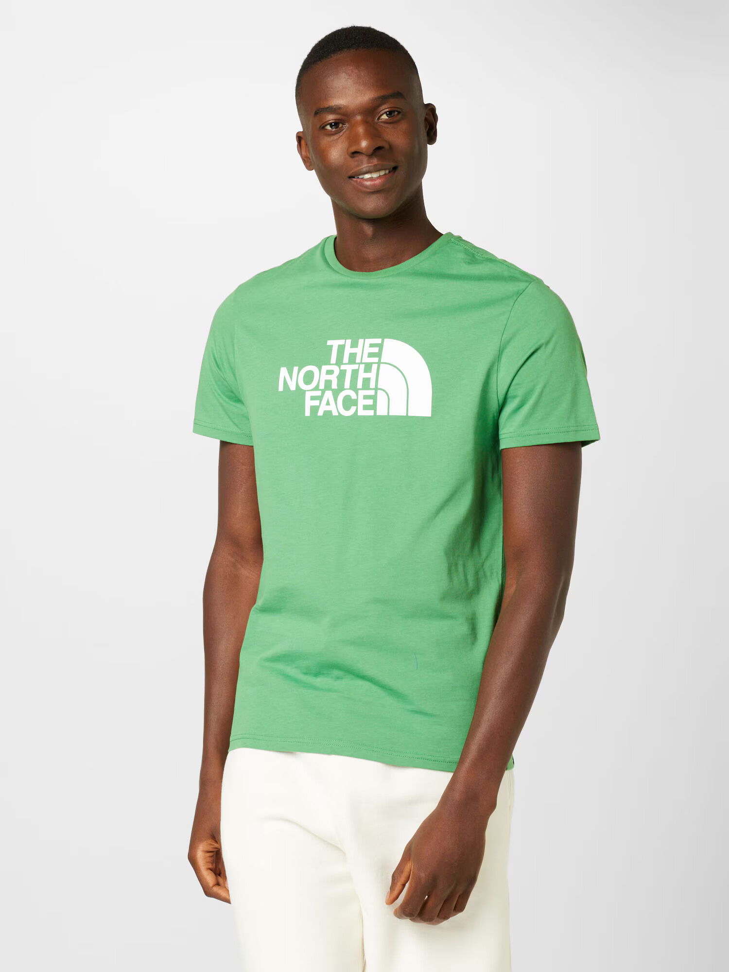 THE NORTH FACE Majica 'Easy' travnato zelena / bela - Pepit.si