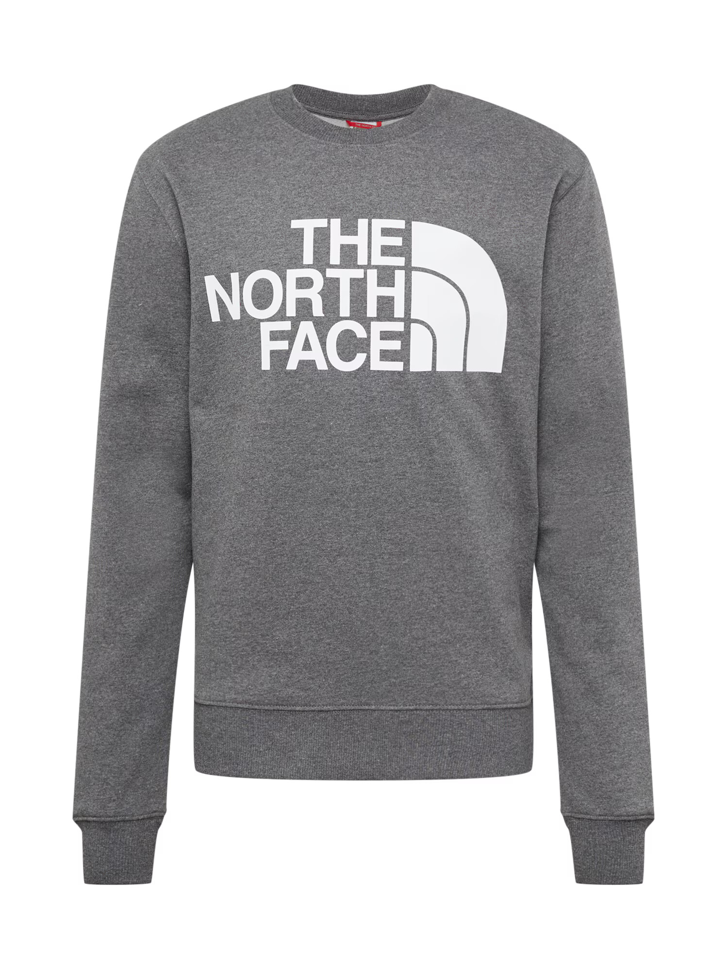 THE NORTH FACE Majica pegasto siva / bela - Pepit.si