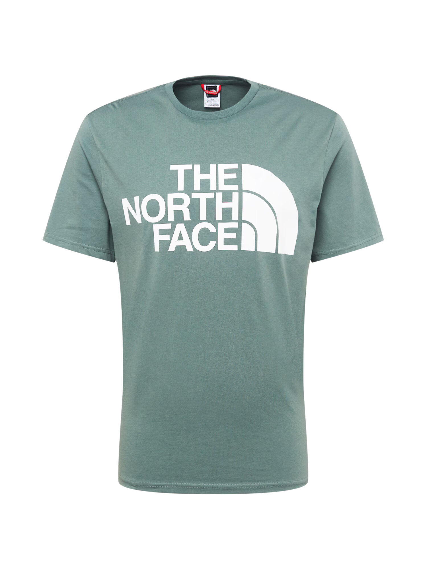 THE NORTH FACE Majica 'STANDARD' meta / bela - Pepit.si