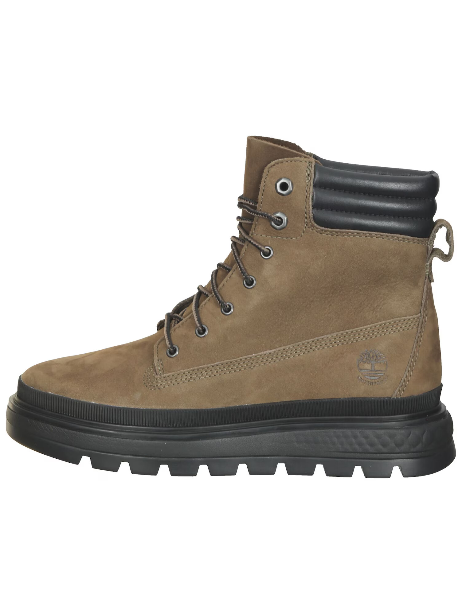 TIMBERLAND Gležnarji z vezalkami 'Ray City 6' oliva - Pepit.si