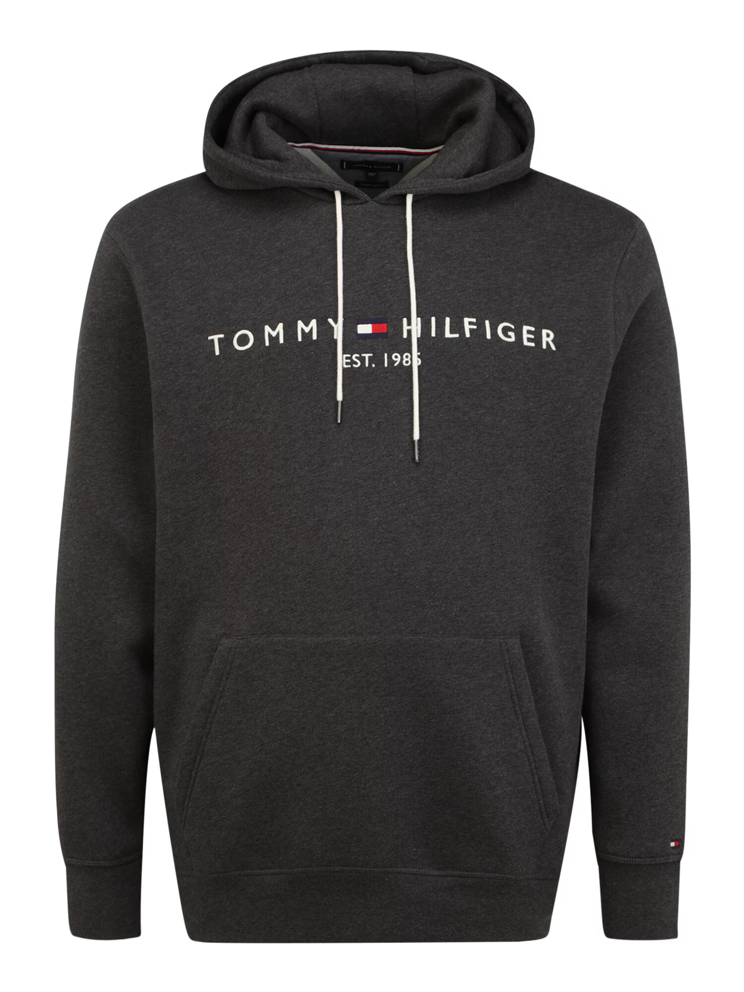 Tommy Hilfiger Big & Tall Majica pegasto siva / bela - Pepit.si