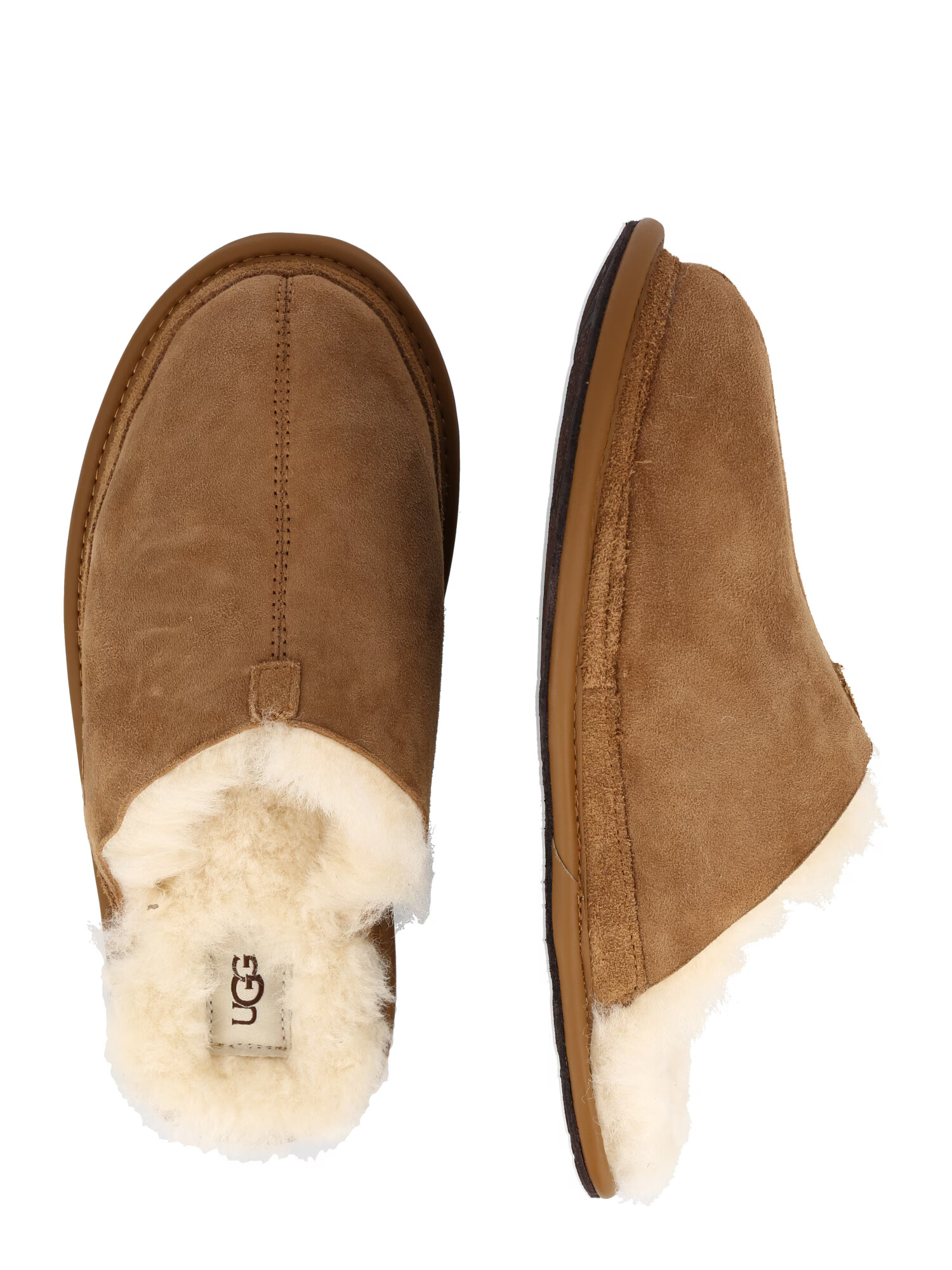 UGG Copat 'HYDE' kamela - Pepit.si