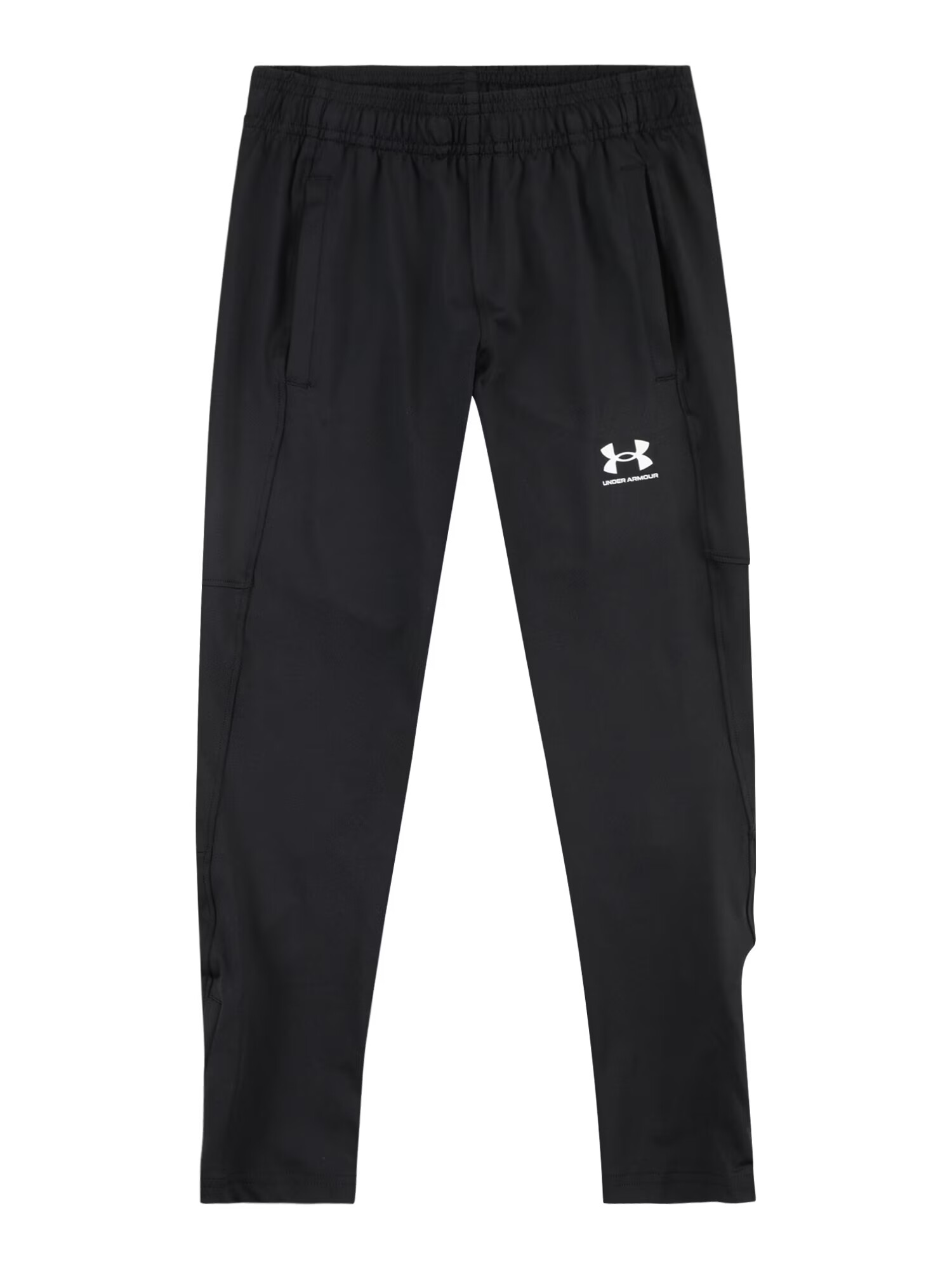 UNDER ARMOUR Športne hlače črna / bela - Pepit.si