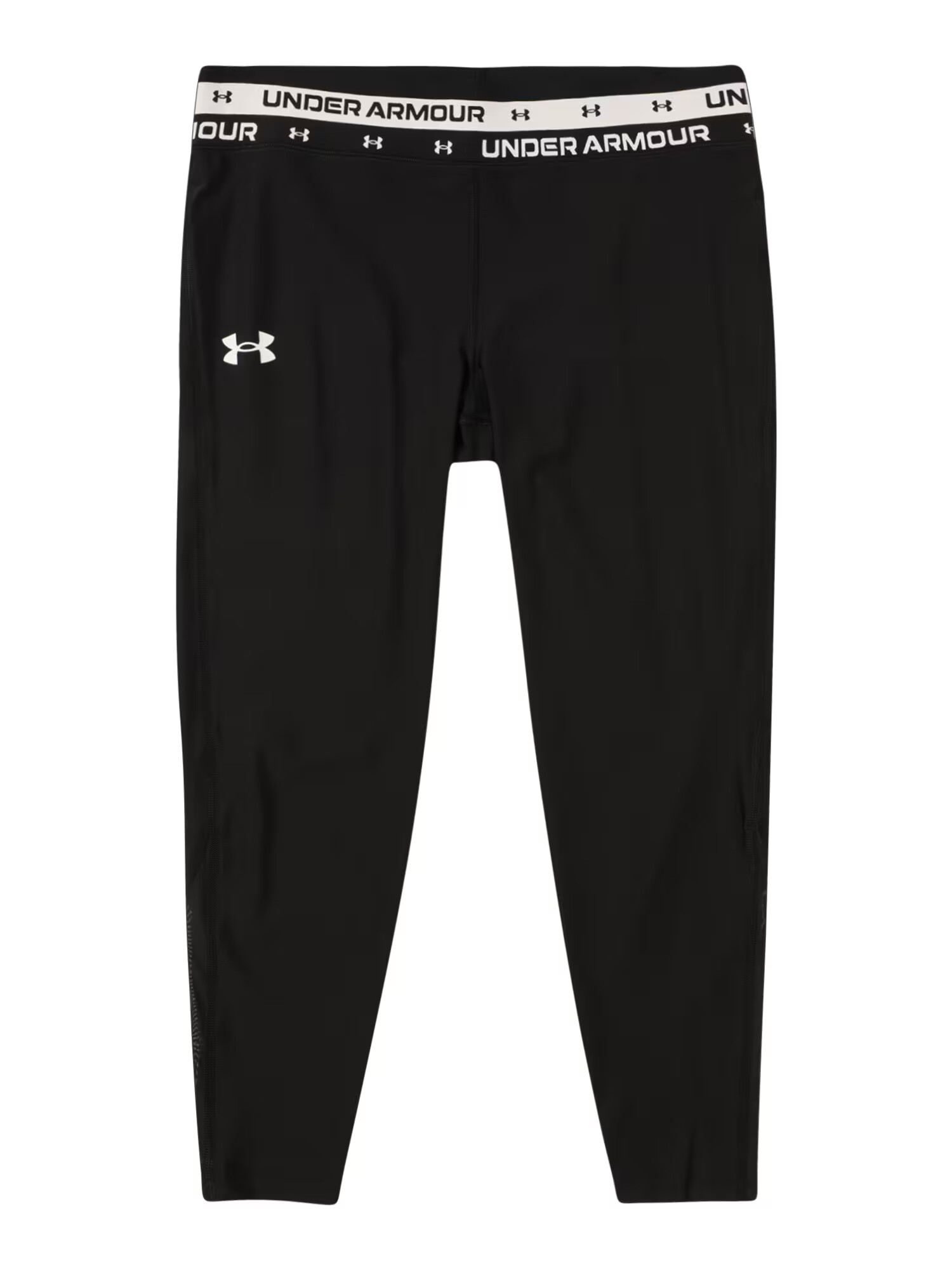 UNDER ARMOUR Športne hlače črna / bela - Pepit.si