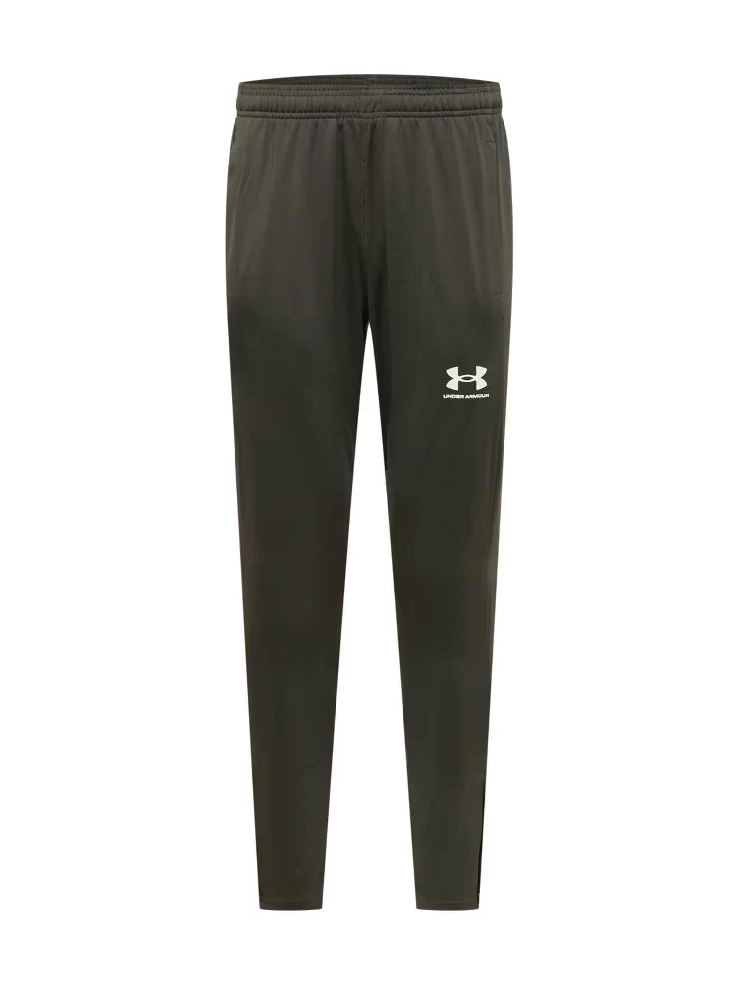 UNDER ARMOUR Športne hlače kaki / bela - Pepit.si