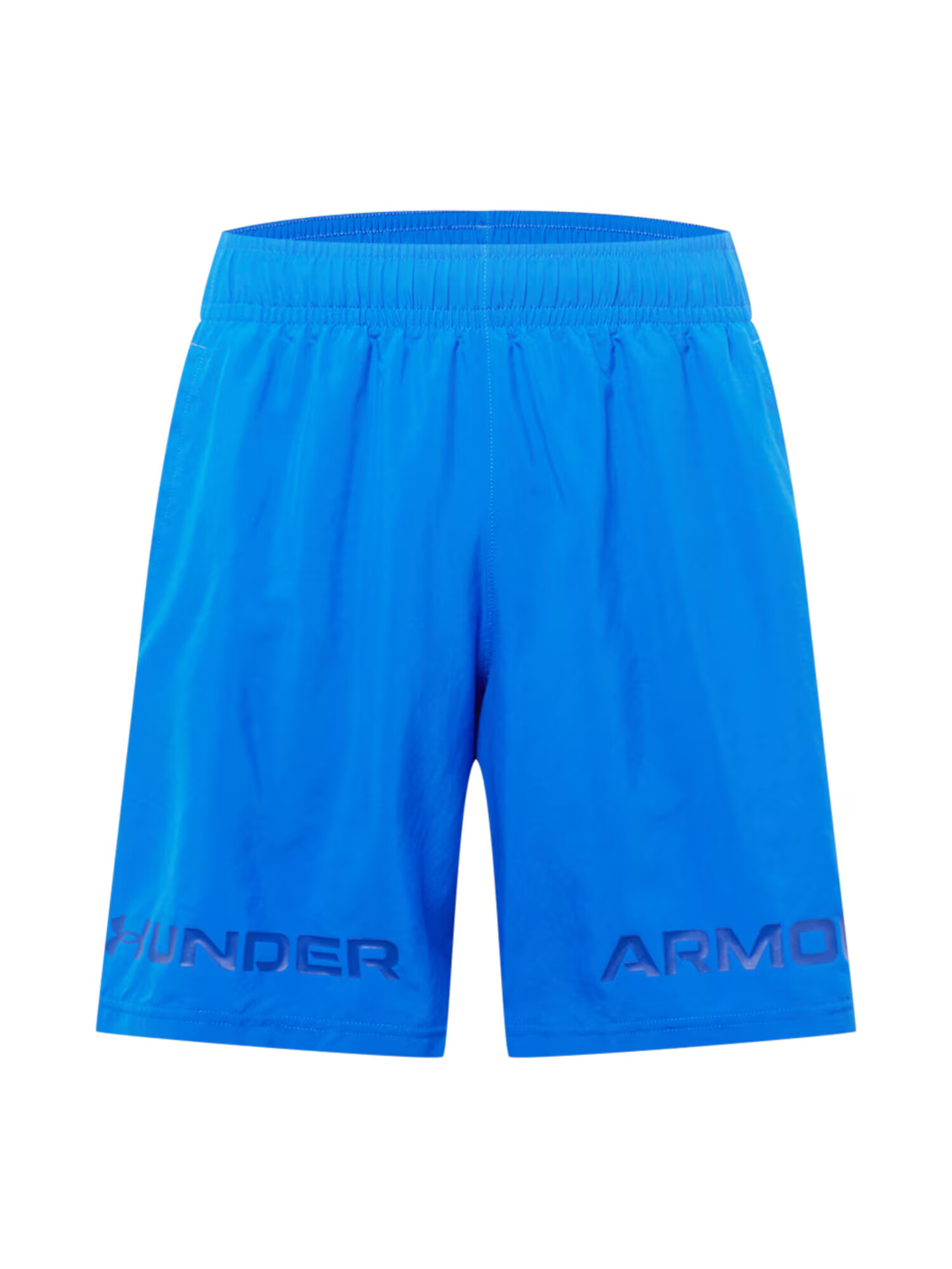 UNDER ARMOUR Športne hlače modra / mornarska - Pepit.si