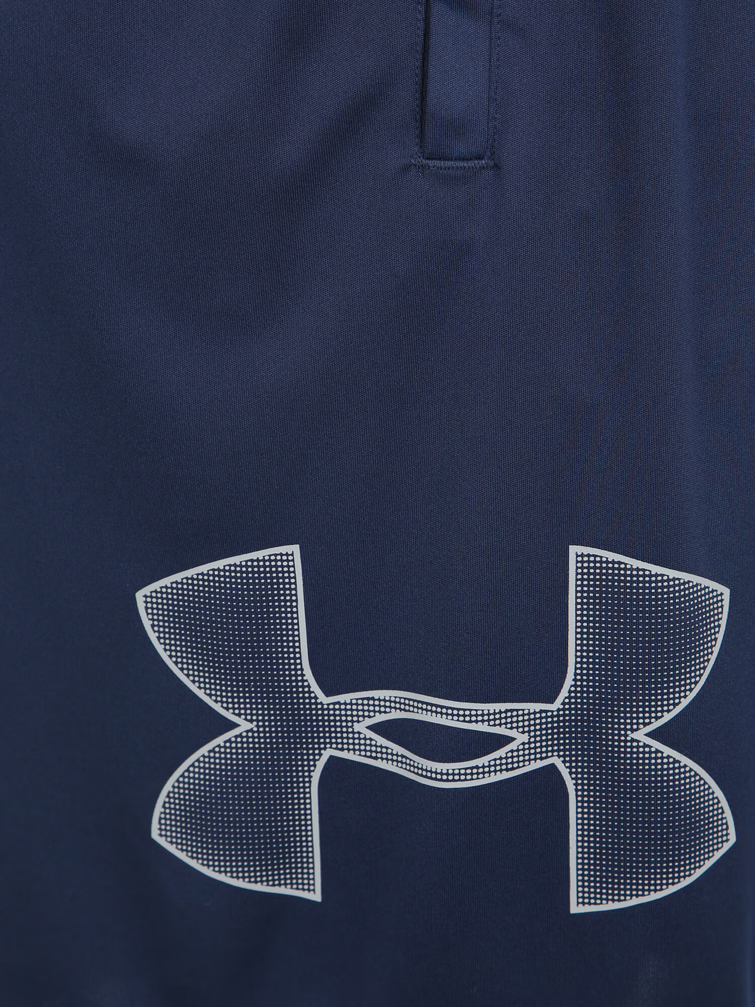 UNDER ARMOUR Športne hlače mornarska / bela - Pepit.si