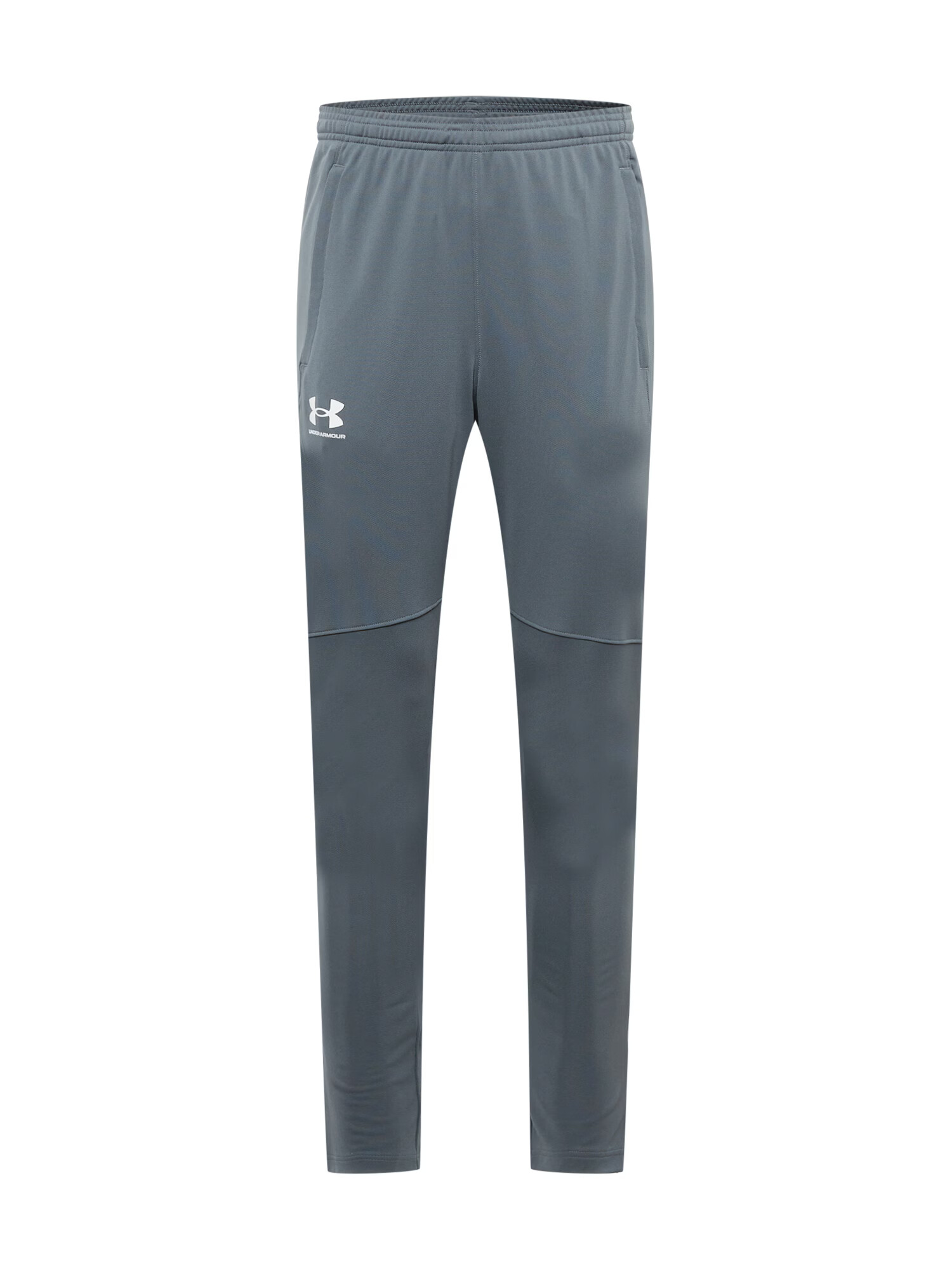 UNDER ARMOUR Športne hlače siva / bela - Pepit.si