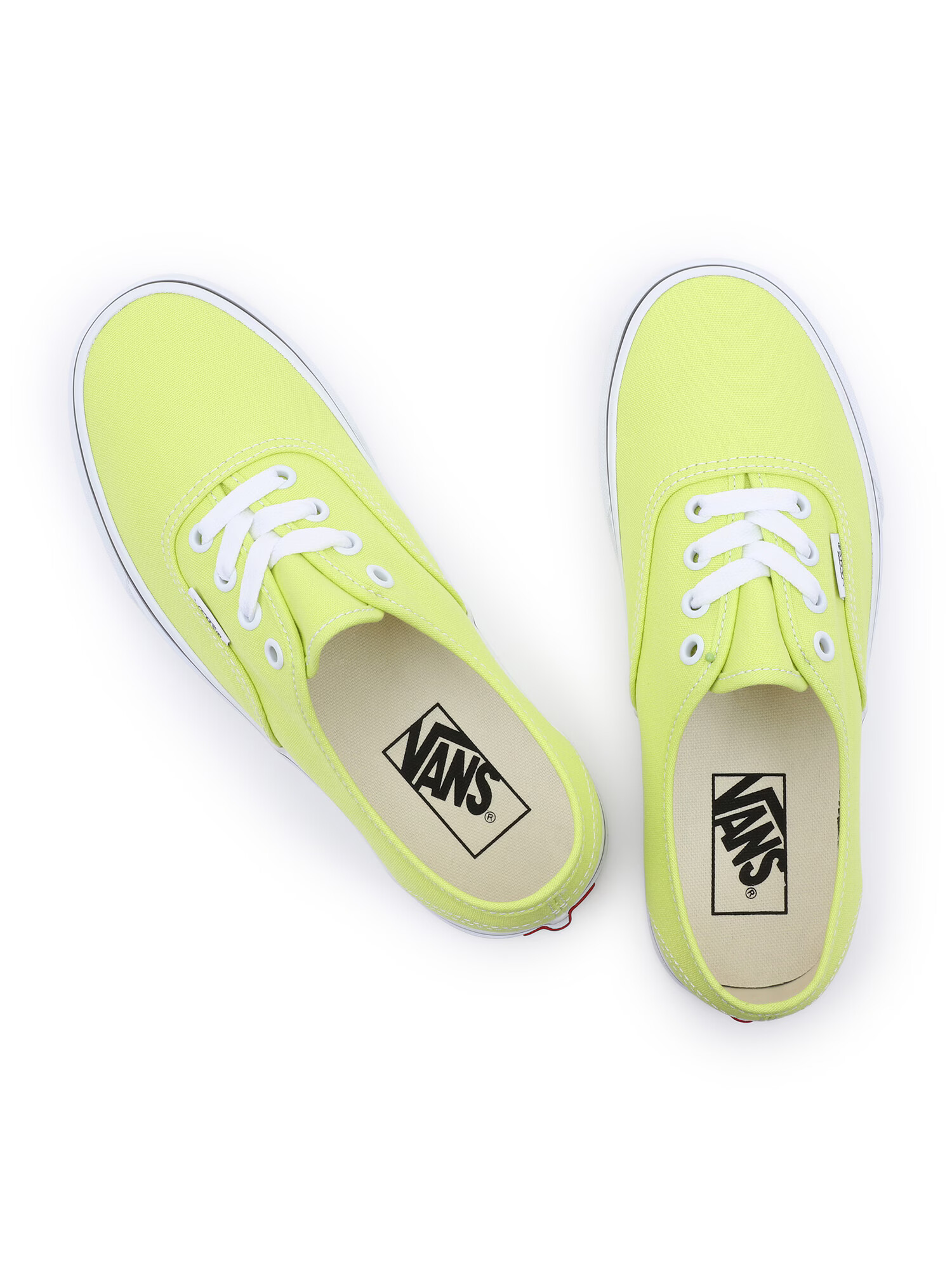 VANS Nizke superge trst / bela - Pepit.si