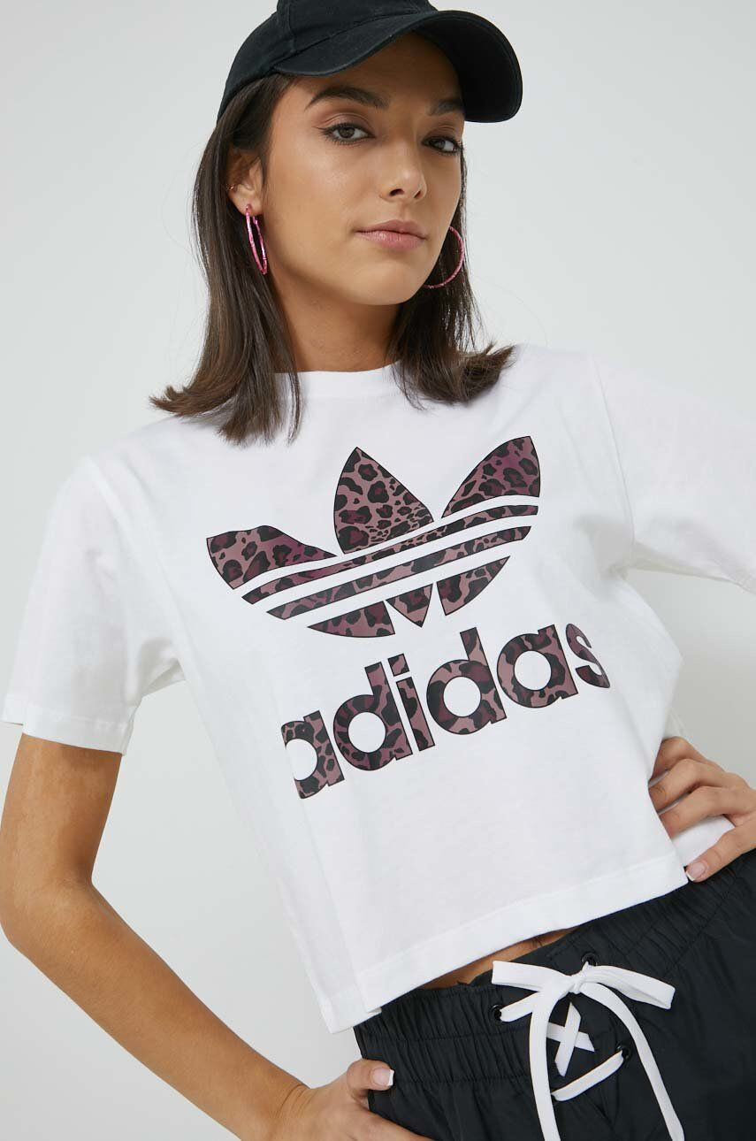 adidas Originals Bombažna kratka majica - Pepit.si