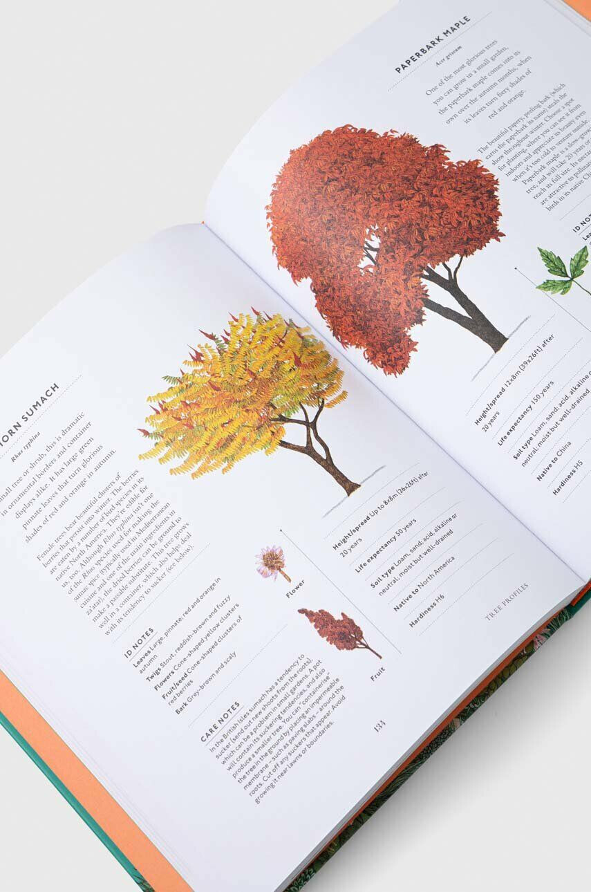 Dorling Kindersley Ltd Knjiga RHS The Tree in My Garden Kate Bradbury - Pepit.si