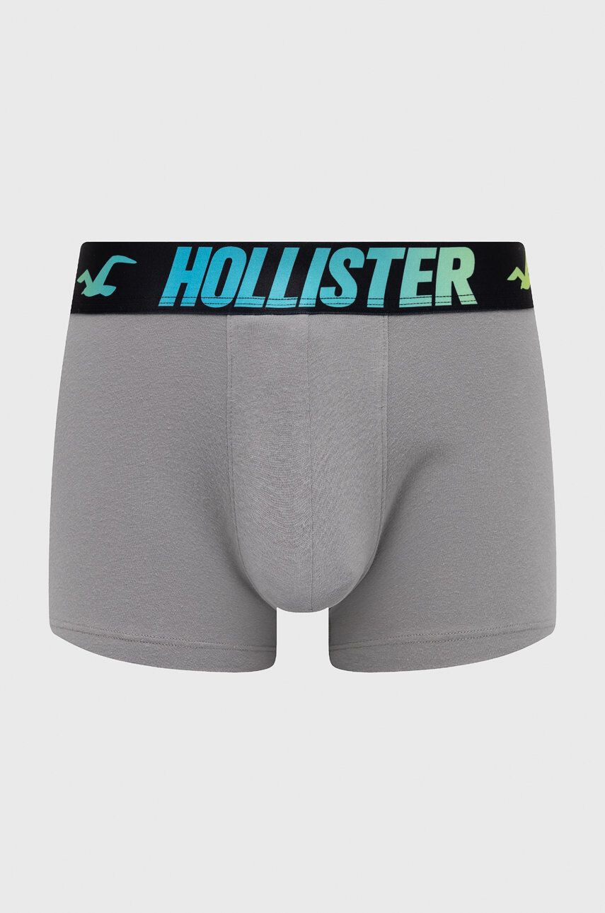 Hollister Co. Boksarice - Pepit.si