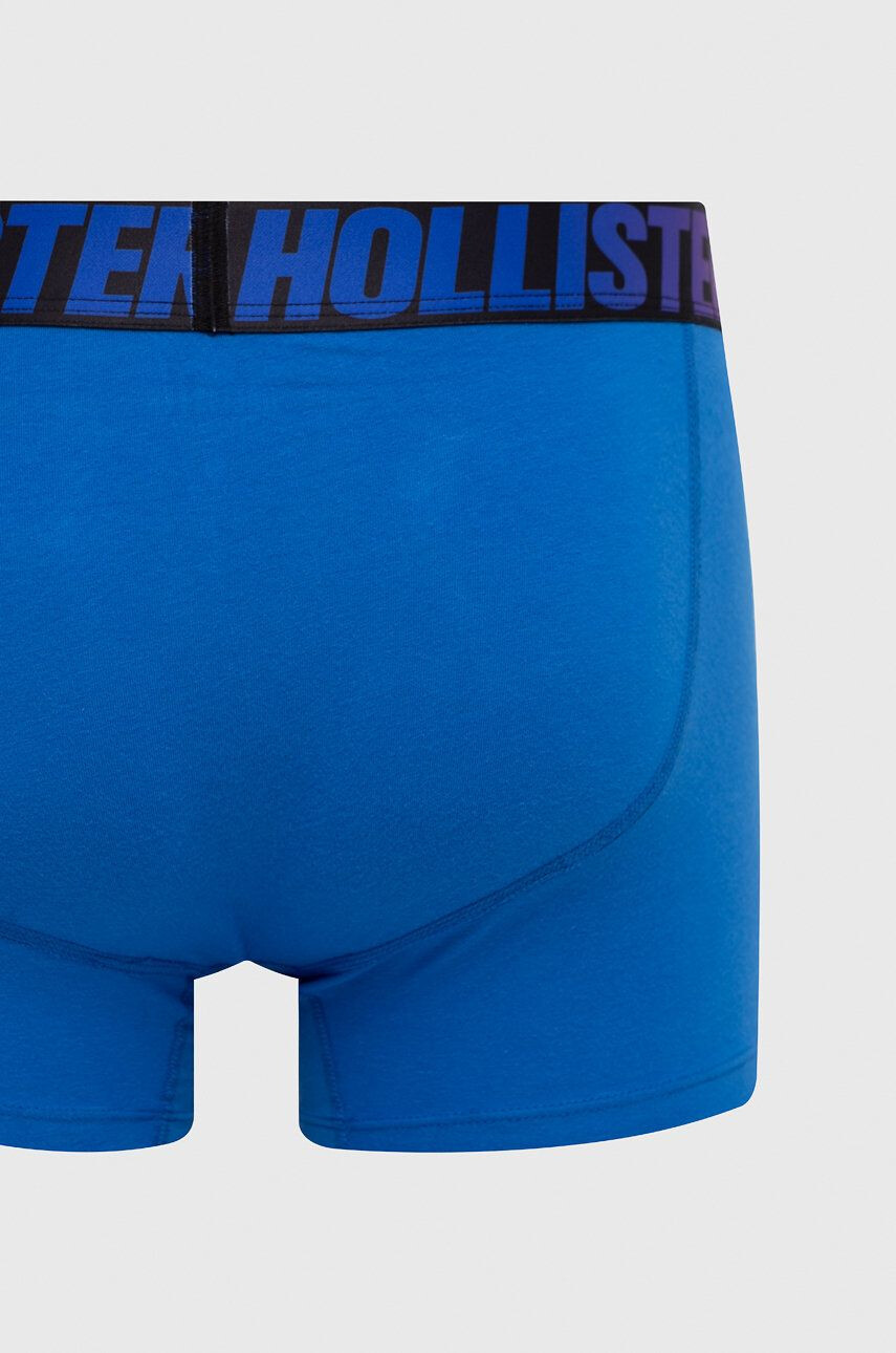 Hollister Co. Boksarice - Pepit.si