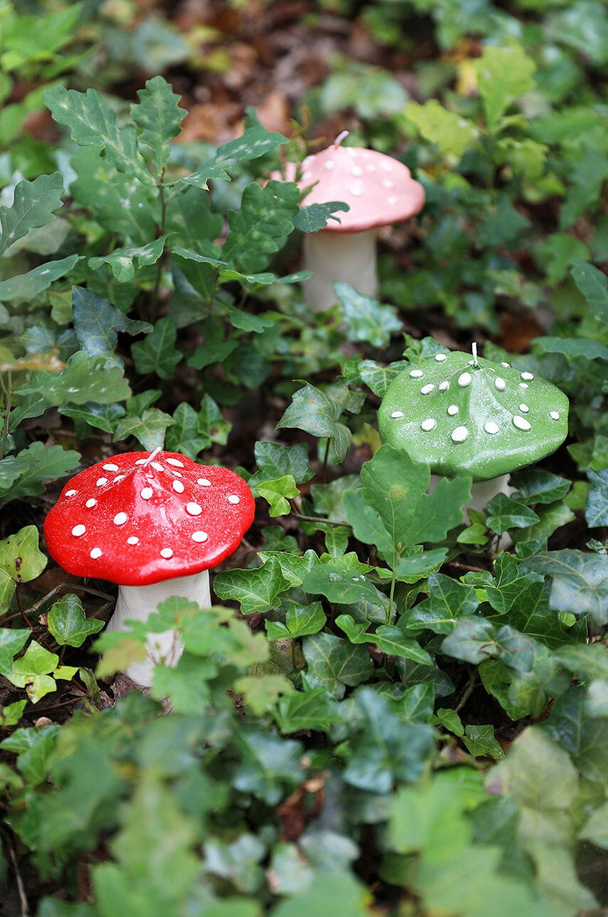 &k amsterdam sveča brez vonja Mushroom Dots - Pepit.si