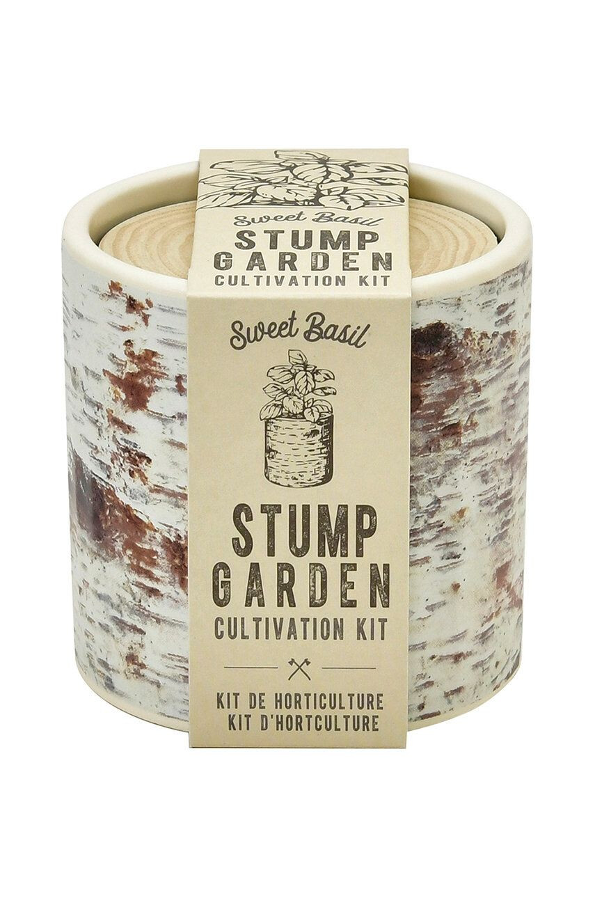 Noted set za gojenje rastlin Stump Garden Basil - Pepit.si