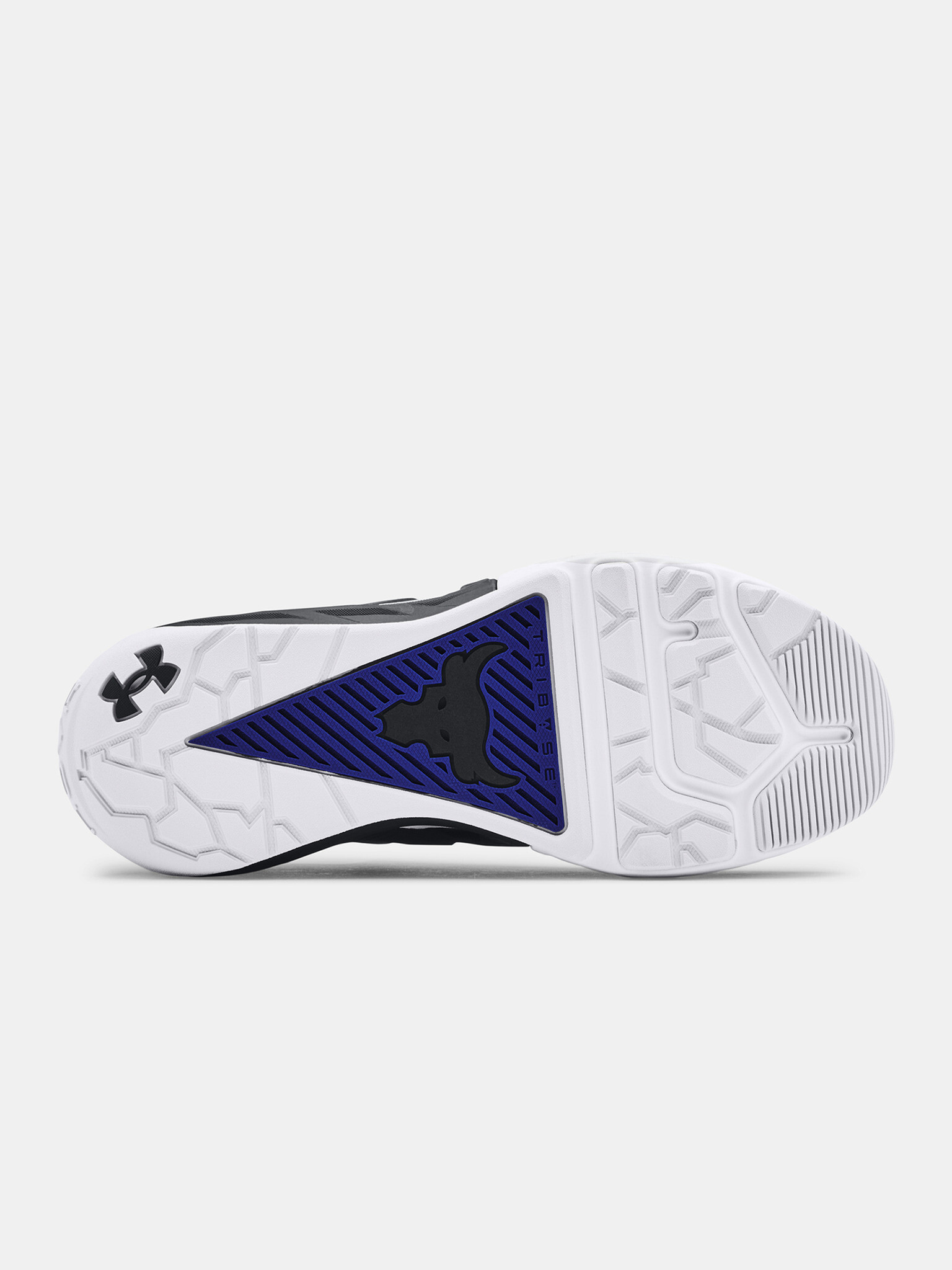 Under Armour UA Project Rock 4 Superge Modra - Pepit.si