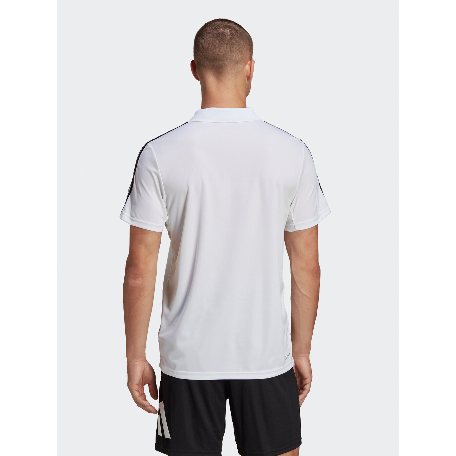 adidas Polo majica Train Essentials Piqué 3-Stripes Training Polo Shirt IB8109 Bela Regular Fit - Pepit.si