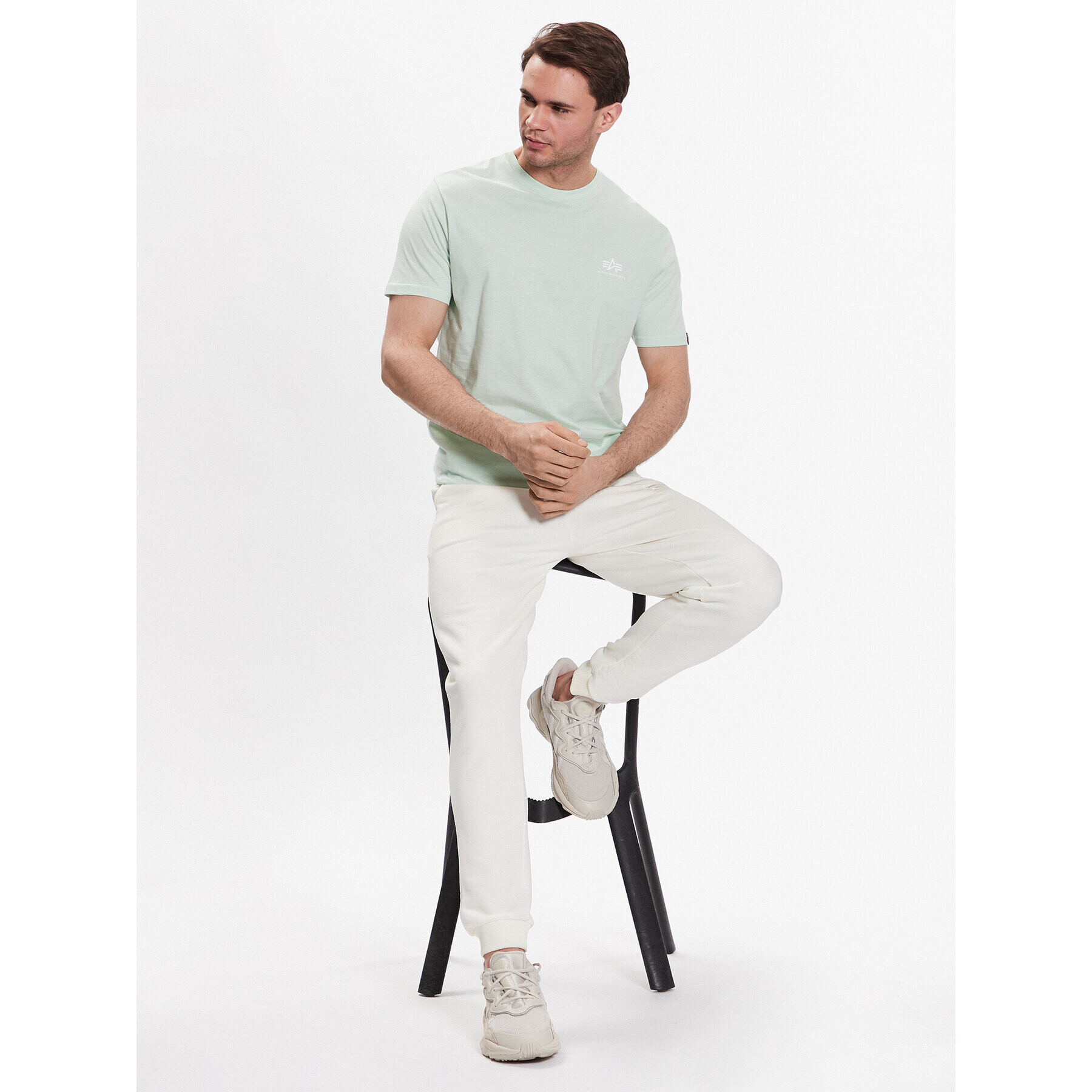 Alpha Industries Majica Basic T Small Logo 188505 Zelena Regular Fit - Pepit.si